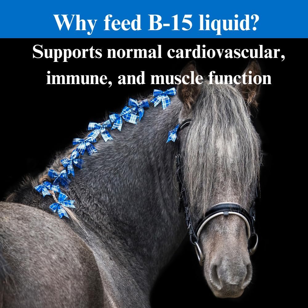 Equine Vitamin B-15 Liquid Supplement for Horses - Supports Cardiovascular, Immune, and Muscle Function - 1 Gallon, 120-Day Supply