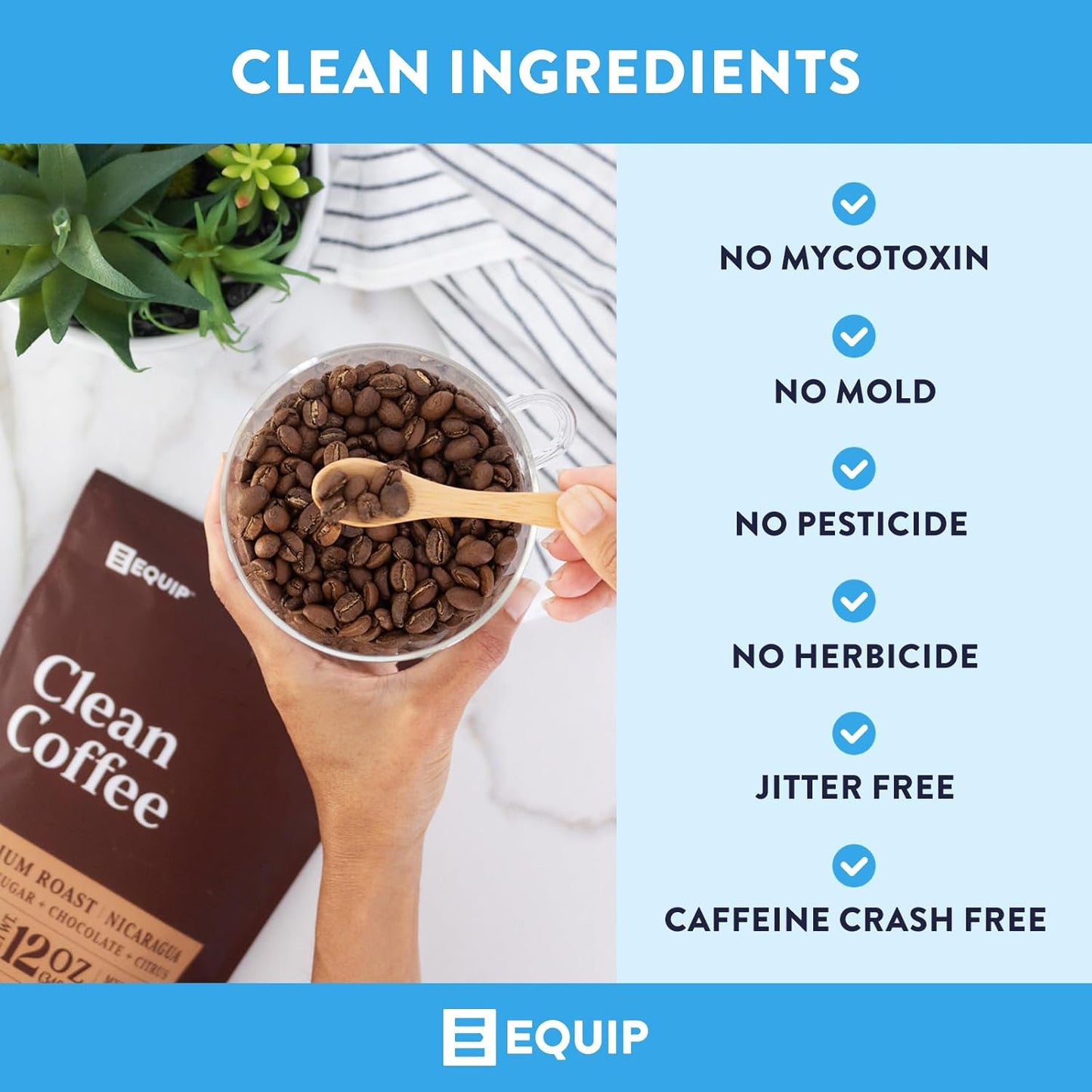 Equip Foods Prime Protein Powder Chocolate & Gold Standard Clean Coffee - Ultimate Performance Bundle