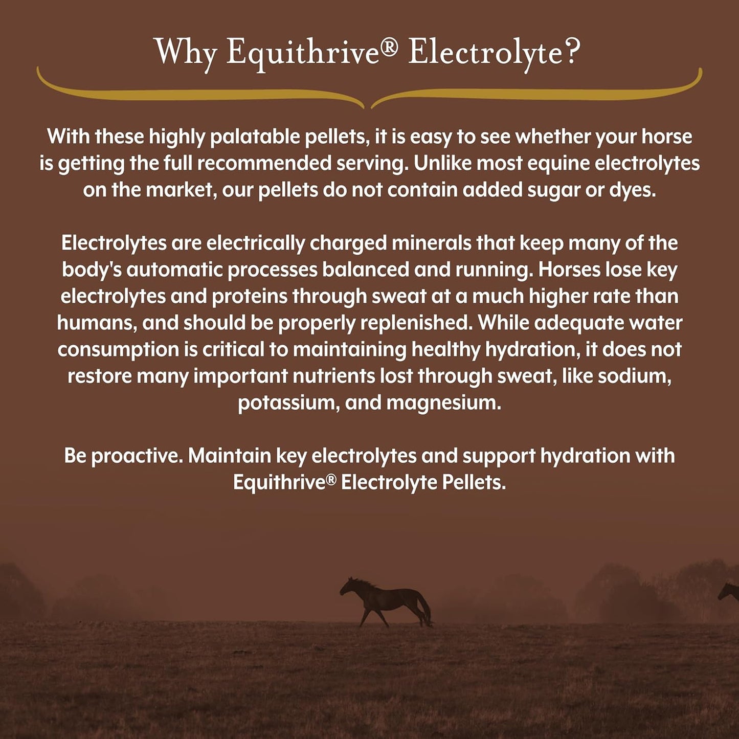 Equithrive Electrolyte Pellets for Horses - Vitamins & Minerals Supplement - .5 lbs, 3 Day Supply