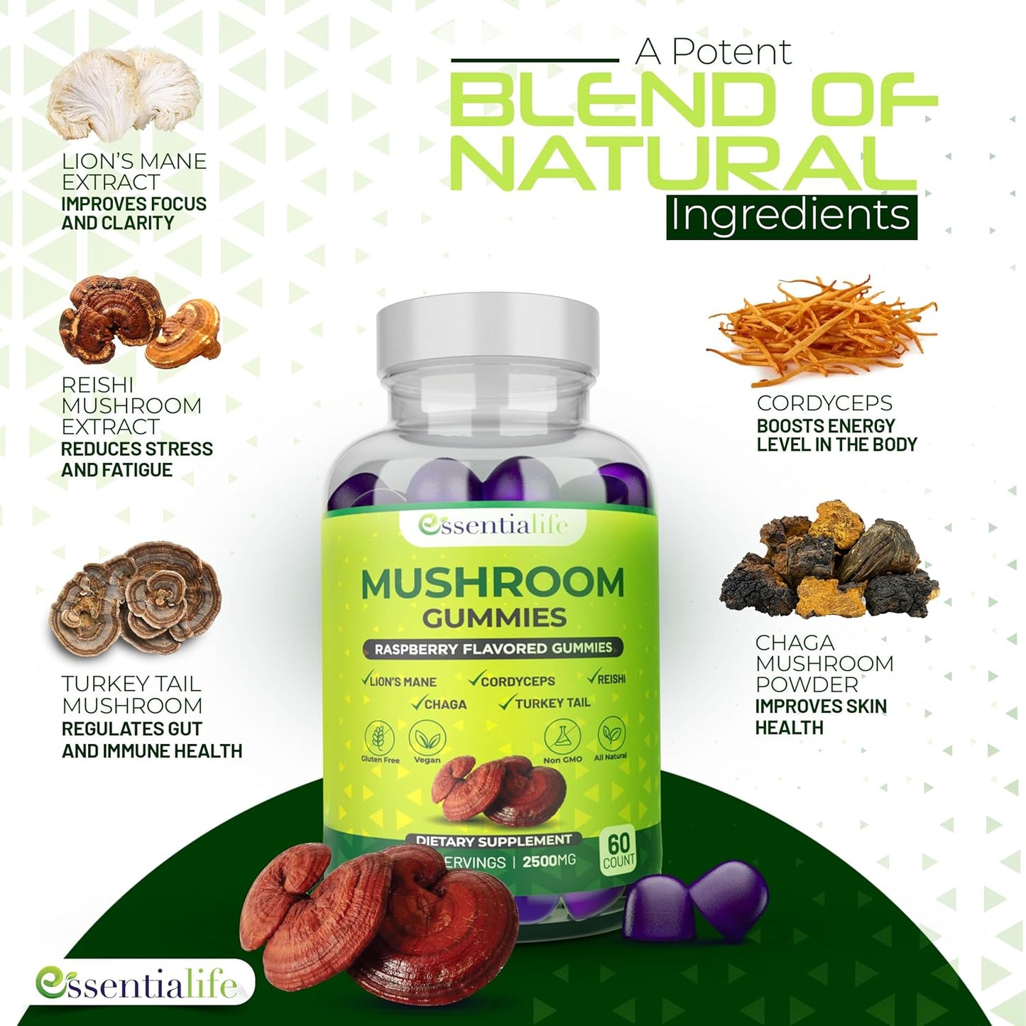 Essentialife Lions Mane Mushroom Gummies with 5 Immune Support Mushrooms - Brain Focus Supplement for Women and Men, Raspberry Flavor - 60 ct