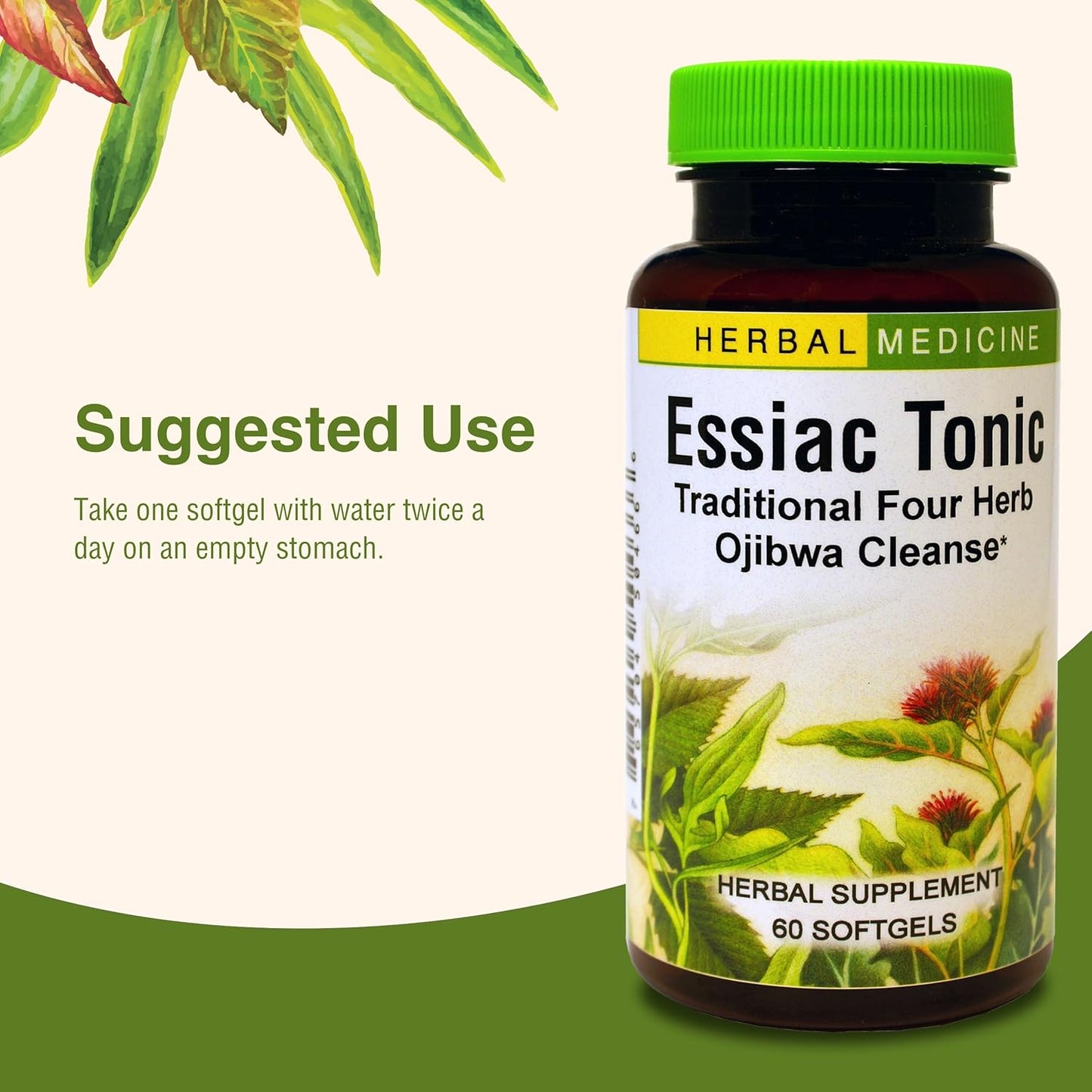 Essiac Tonic Softgels by Herbs Etc. - 60 Count