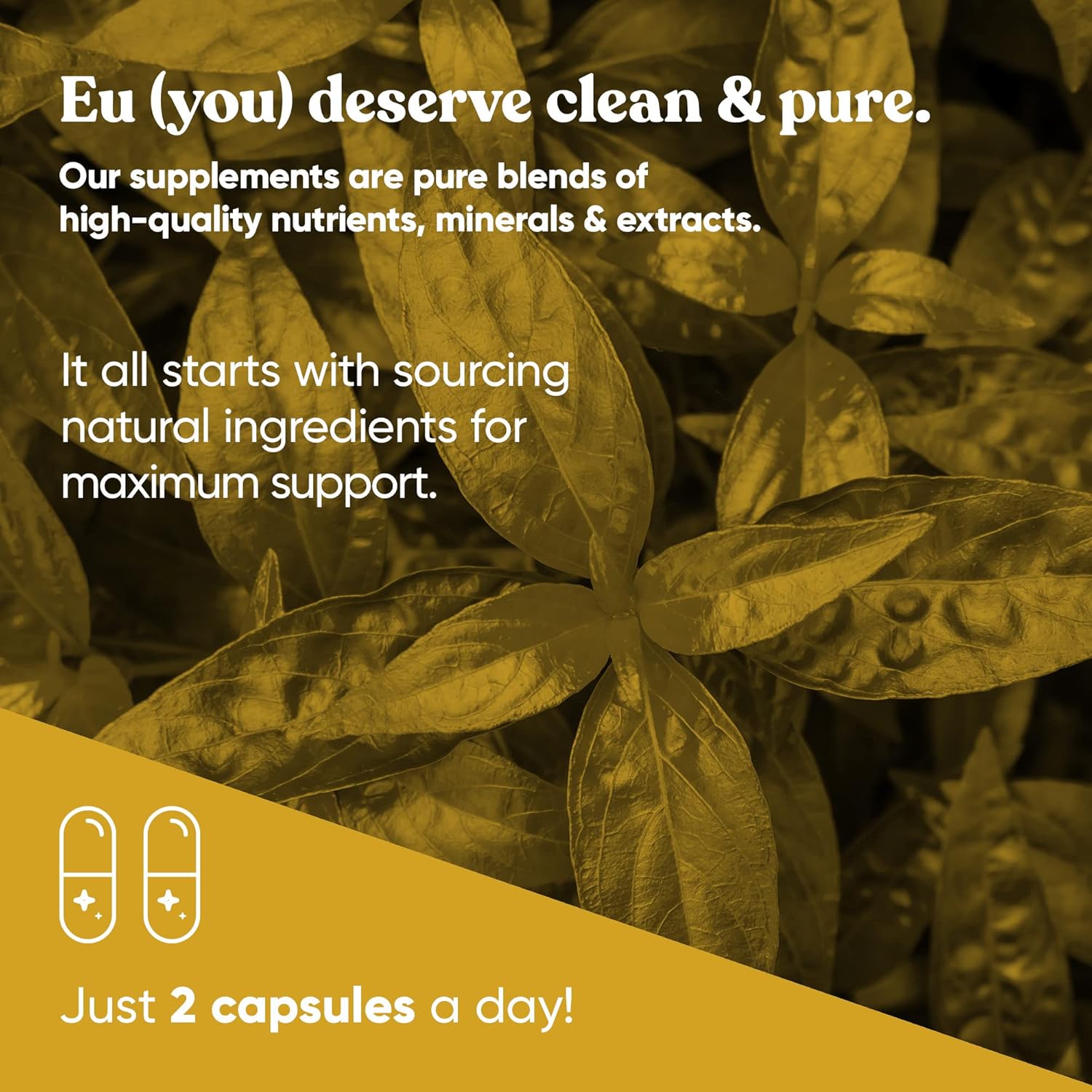 Eu Natural A+ Armor Andrographis Pure 800 Mg Capsules - Boost Immune System, Physical Wellness, Seasonal Protection - Full-Spectrum & Standardized Vegan Supplement - BoostGo Australia