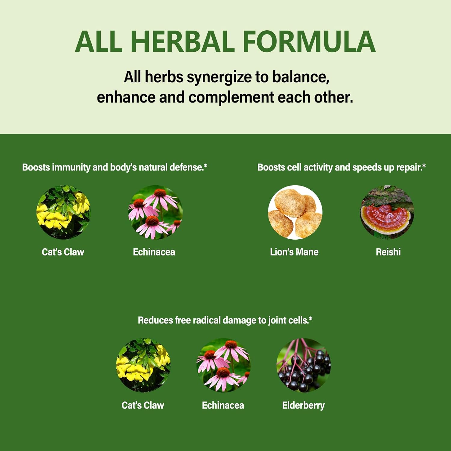 Eubrition Cat's Claw Herb Immune Support Liquid Drops with Echinacea, Lion's Mane, Reishi & Elderberry Extract - 2oz Immunity Boost Supplement