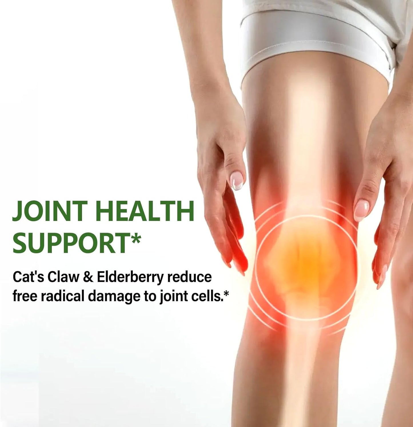 Eubrition Cat's Claw Herb Immune Support Liquid Drops with Echinacea, Lion's Mane, Reishi & Elderberry Extract - 2oz Immunity Boost Supplement