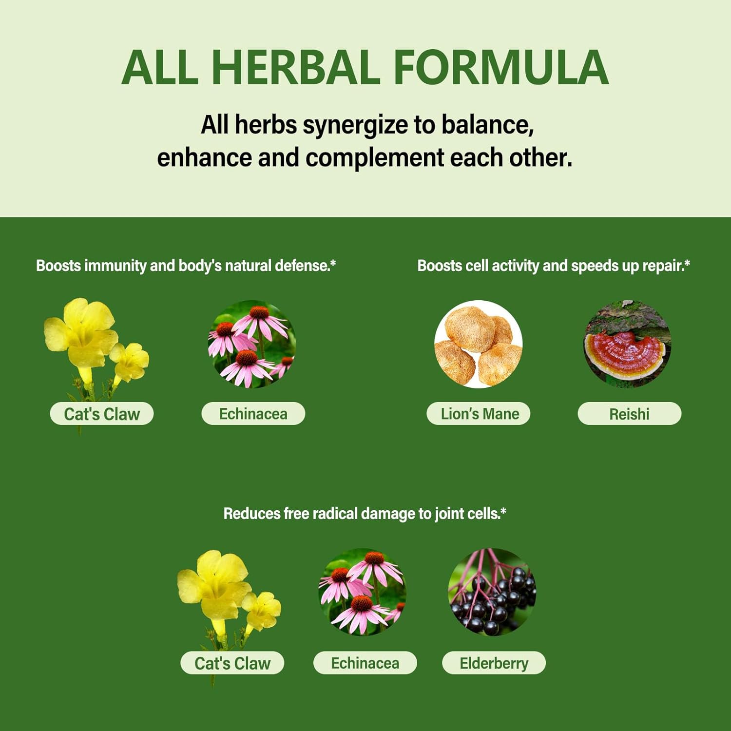 Eubrition Cat's Claw Herb Immune Support Liquid Drops with Echinacea, Lion's Mane, Reishi & Elderberry Extract - 2oz Immunity Boost Supplement