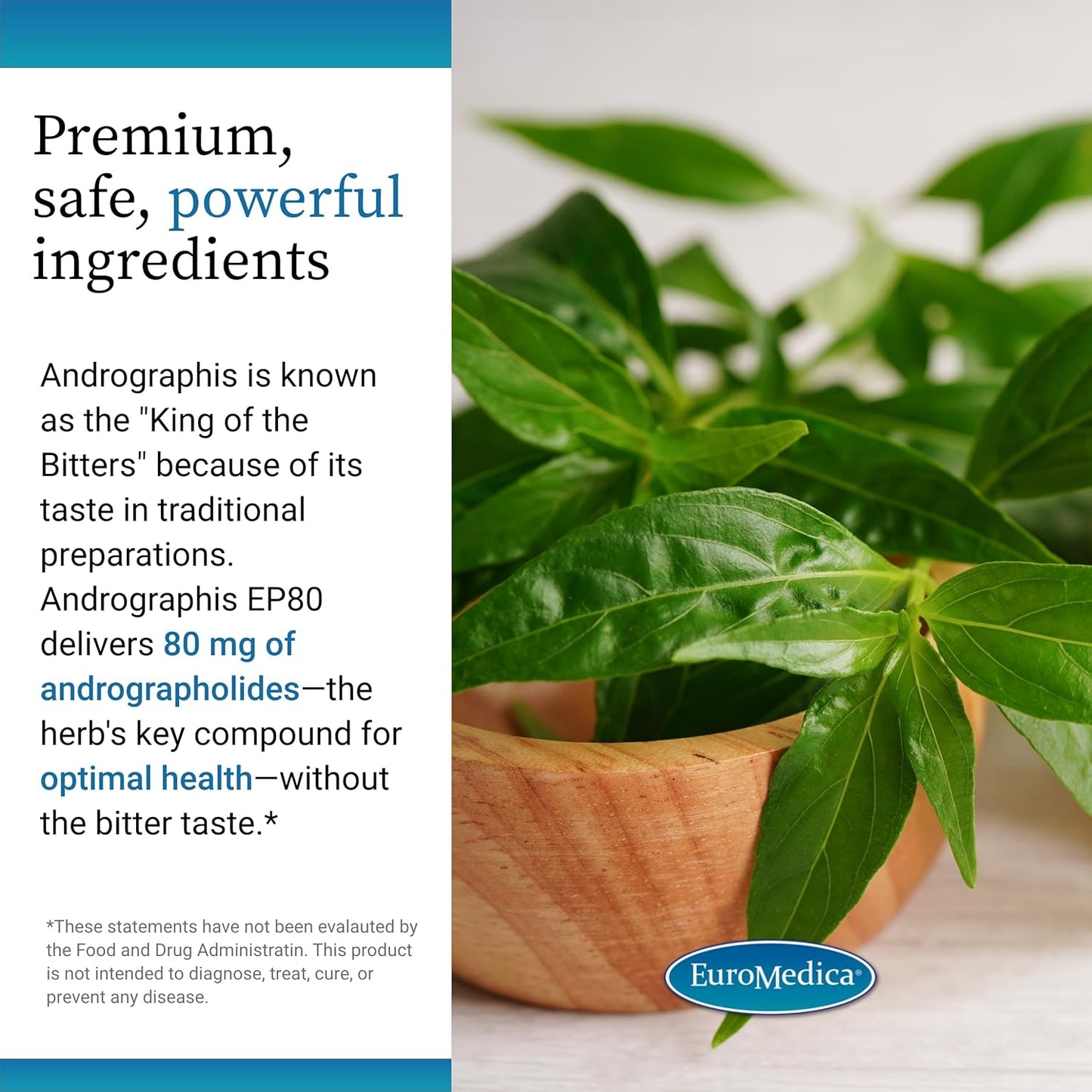 Euromedica Andrographis EP80 Capsules - Vegan Supplement for Brain, Immune, Joint, Energy, and Liver Health - 60 Count