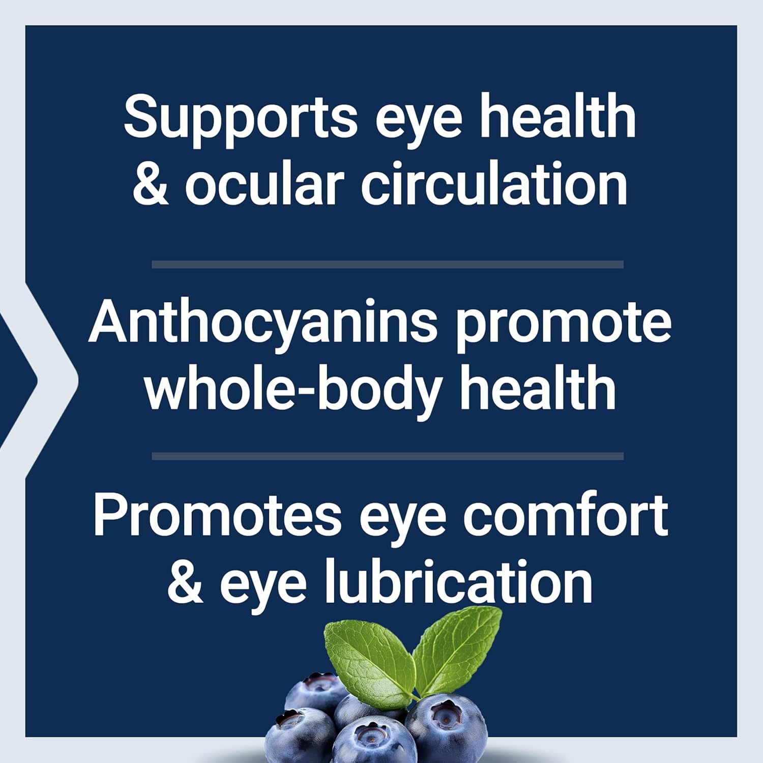 European Bilberry Extract Capsules - 100mg MirtoSelect® Vaccinium myrtillus for Eye Health, Circulation, Lubrication - 90ct, Gluten-Free, Non-GMO, Vegetarian