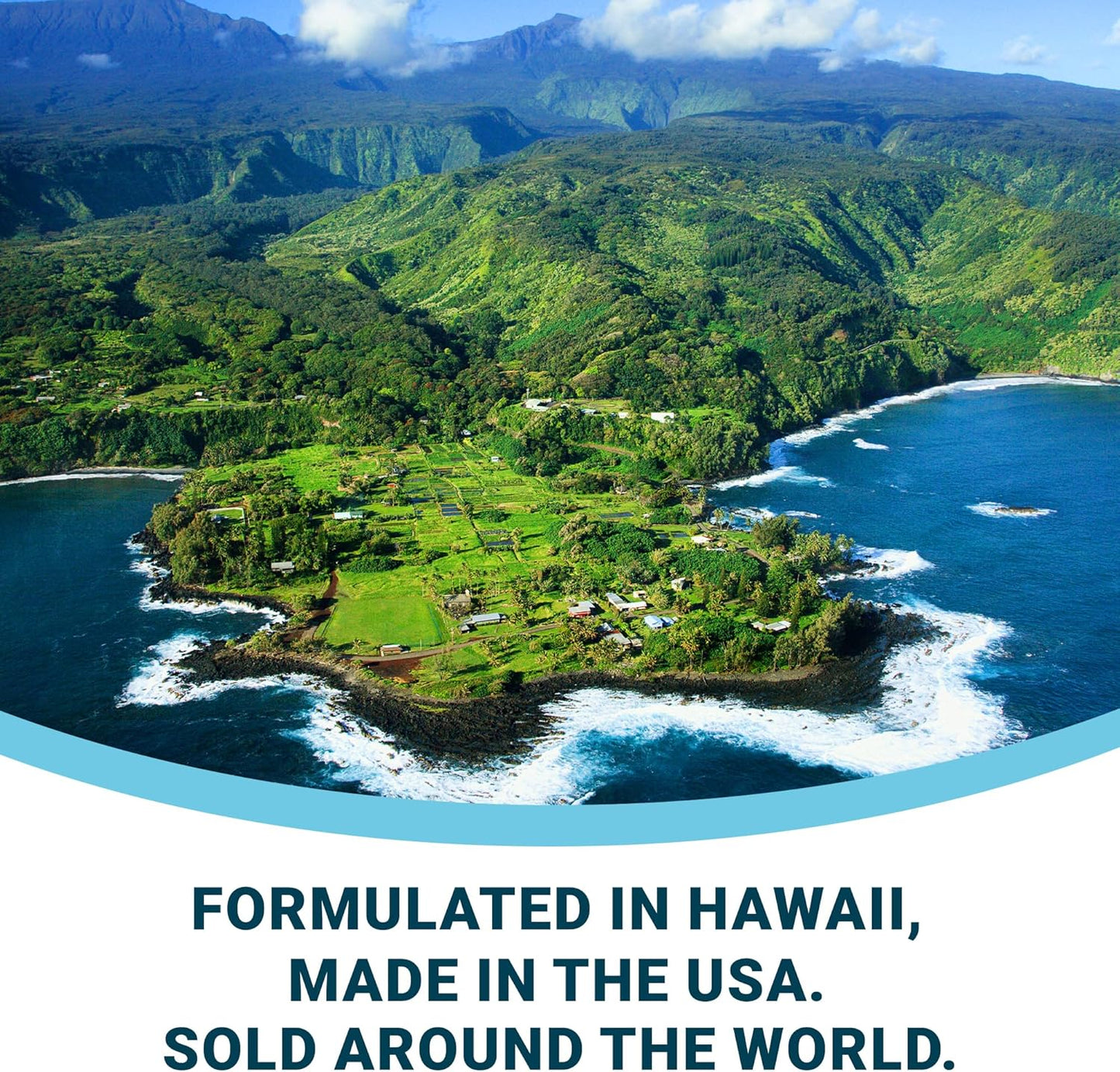 EverPup Ultimate Dog Supplement for Healthy Joints, Immunity, Digestion, Skin - Glucosamine, Prebiotics, Probiotics, Apoptogens, Vitamins, Minerals