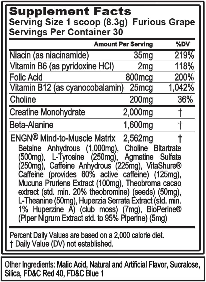 Evlution EVL Intense Pre Workout Powder - ENGN Energizing Drink for Men with Creatine, Beta Alanine, Caffeine, L Theanine - Furious Grape Flavor for Energy and Focus