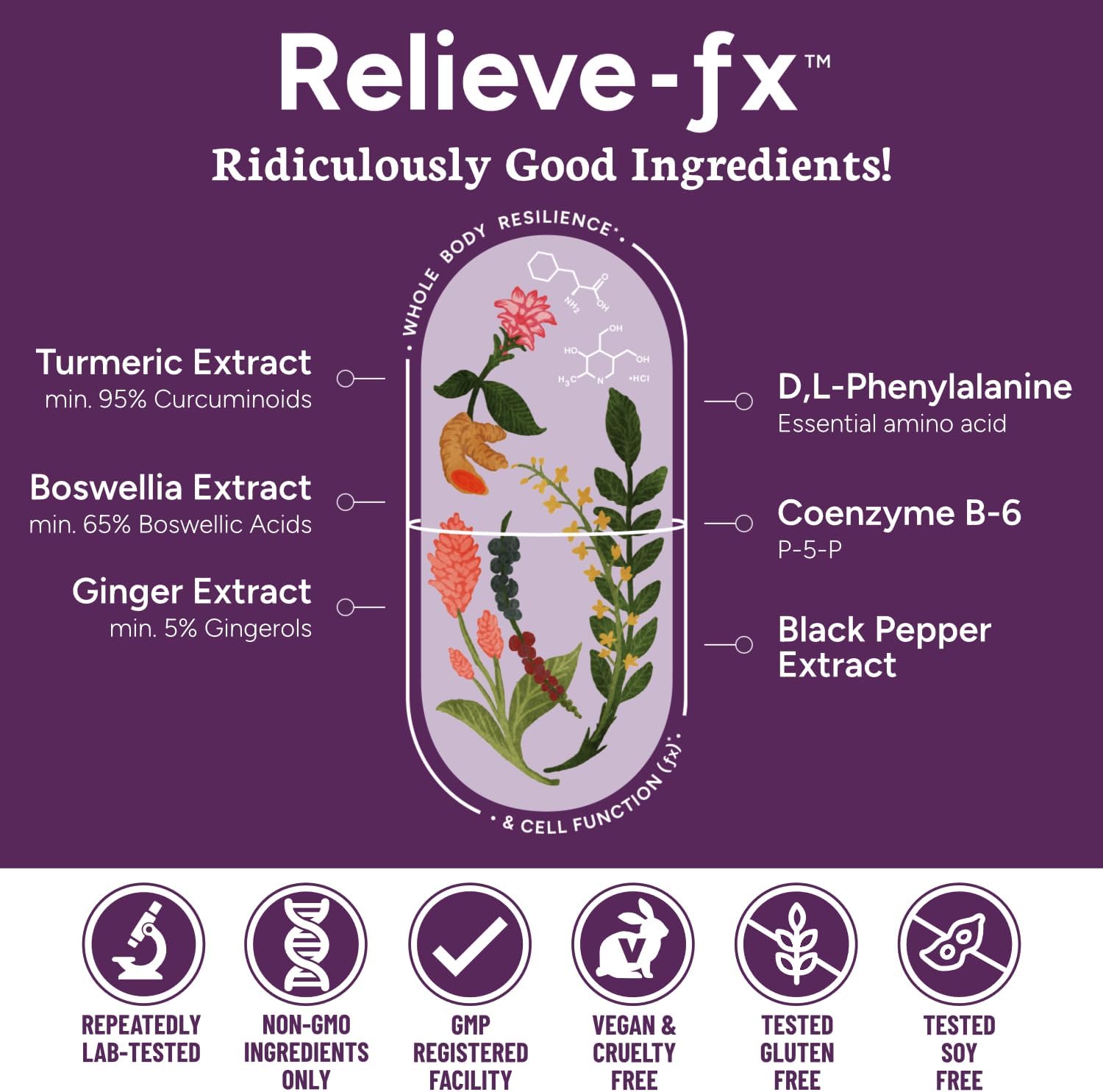 Extra Strength PPO Lab Relieve-fx™ Turmeric Curcumin Supplement for Inflammation, Joint Support, Mood Relief - 90 Vegan Capsules