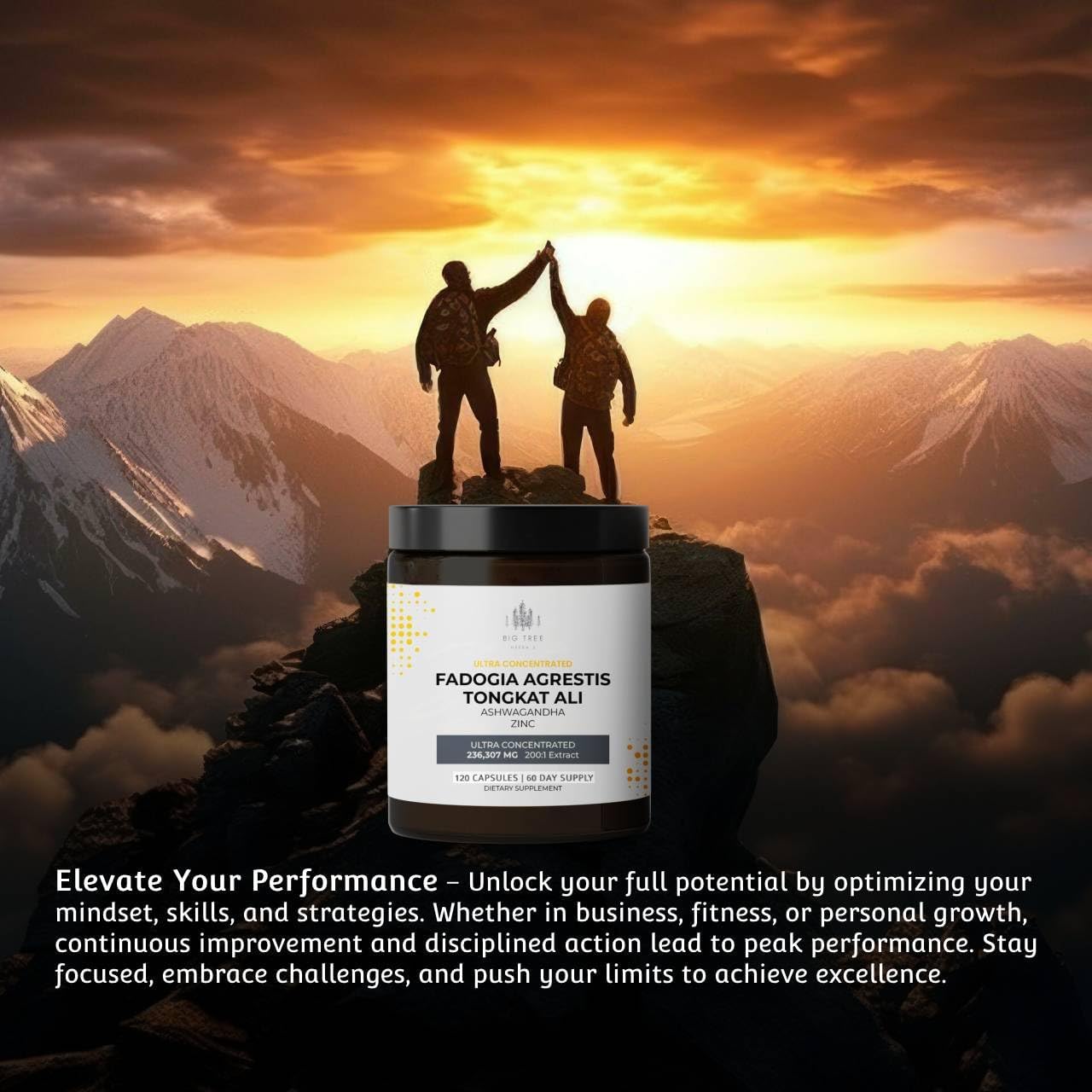 Fadogia Agrestis Extract Capsules with Tongkat Ali, Ashwagandha, Zinc - 236,307mg 200:1 Concentration - Energy & Muscle Support Dietary Supplement - 120 Capsules