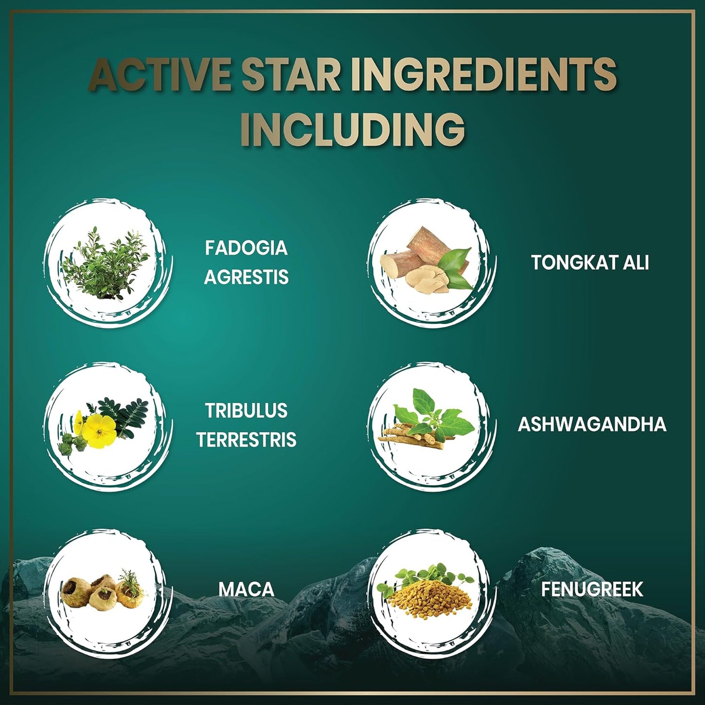 Fadogia Tongkat Ali Supplement + Essential Amino Acids Bundle for Muscle and Strength Support