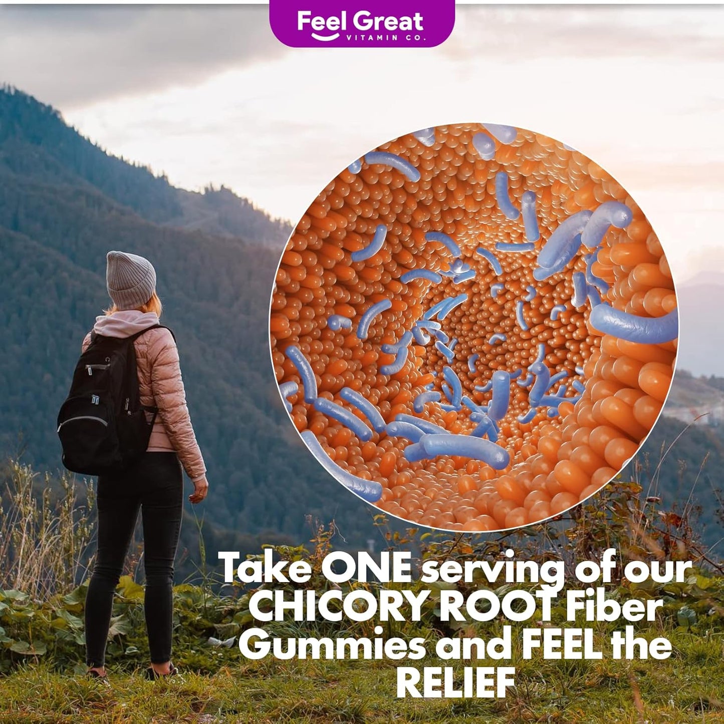 Feel Great Vitamin Co Prebiotic Fiber Gummies (60 Count) for Digestive Health & Immunity - Vegetarian & Vegan Friendly Chewable Supplement