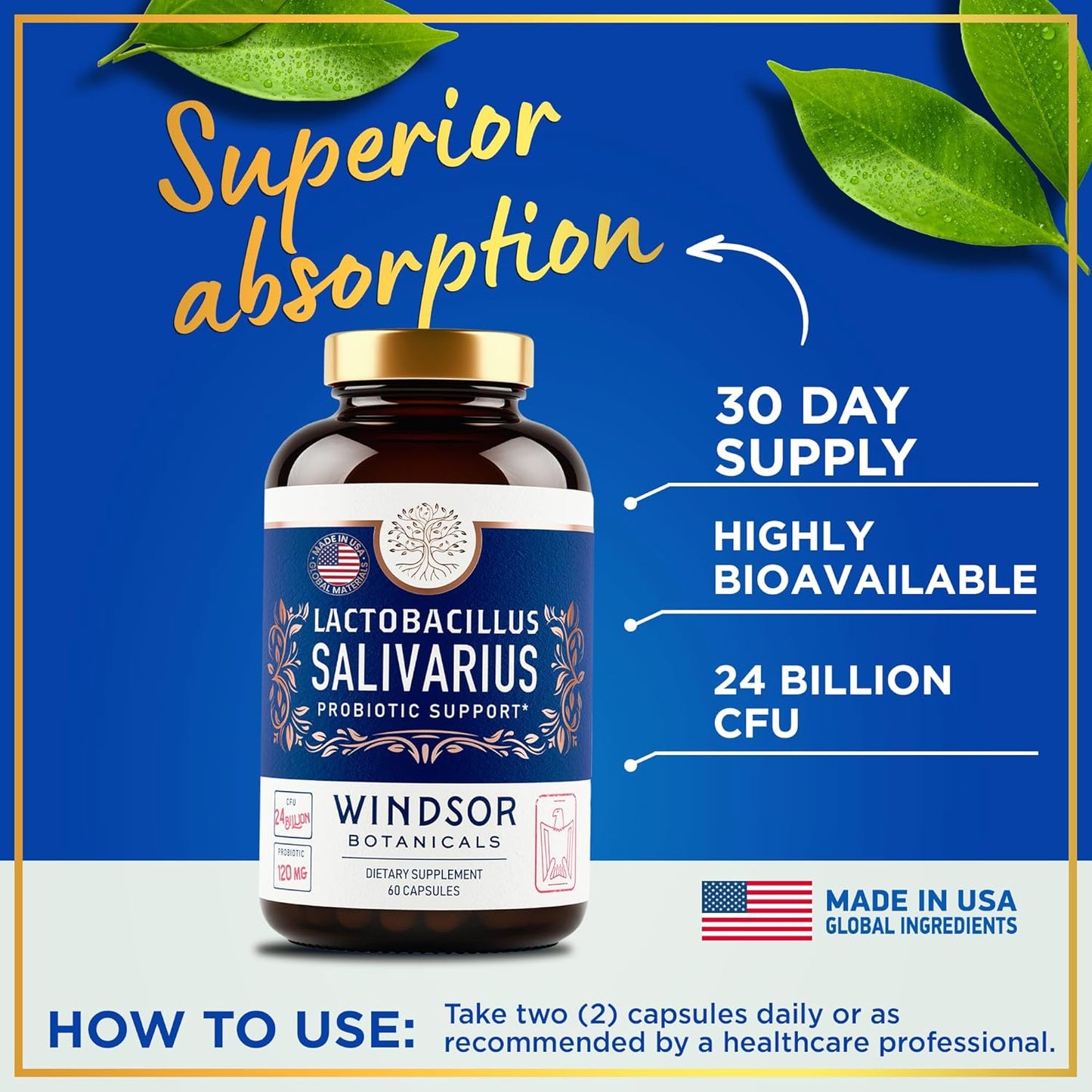 Female Health Support Bundle: Myo & D-Chiro Inositol, Lactobacillus Salivarius Probiotic - WINDSOR BOTANICALS