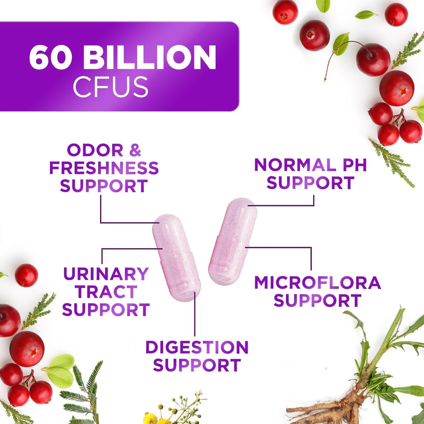 Feminine Health Probiotic Supplement - 60 Billion CFU, 16 Strains for Vaginal pH & Gut Health - Immune Support - 120 Capsules