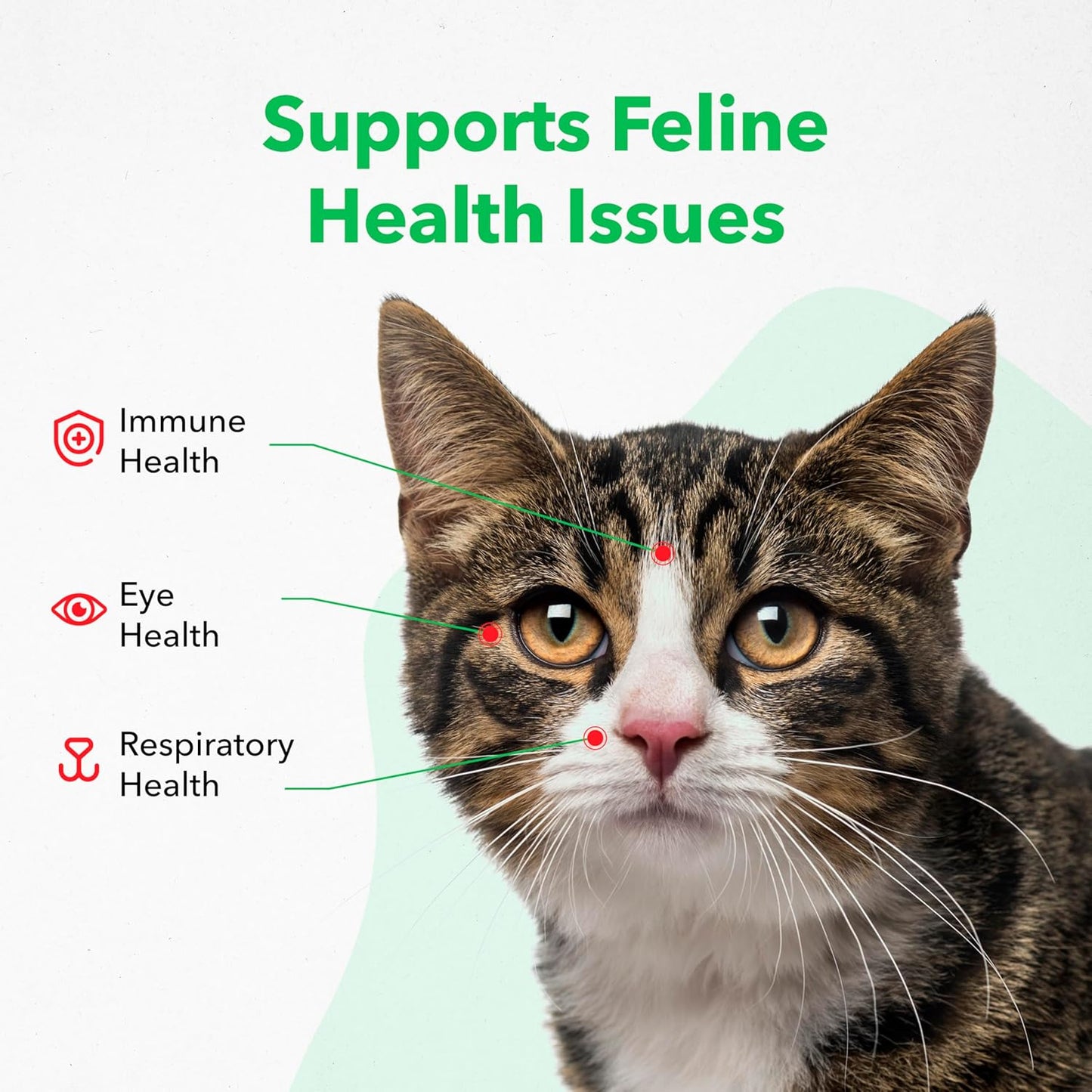 Fish Flavored Lysine Powder for Cats - Supports Immune, Eye, and Respiratory Health - 600gm - BoostGo Australia