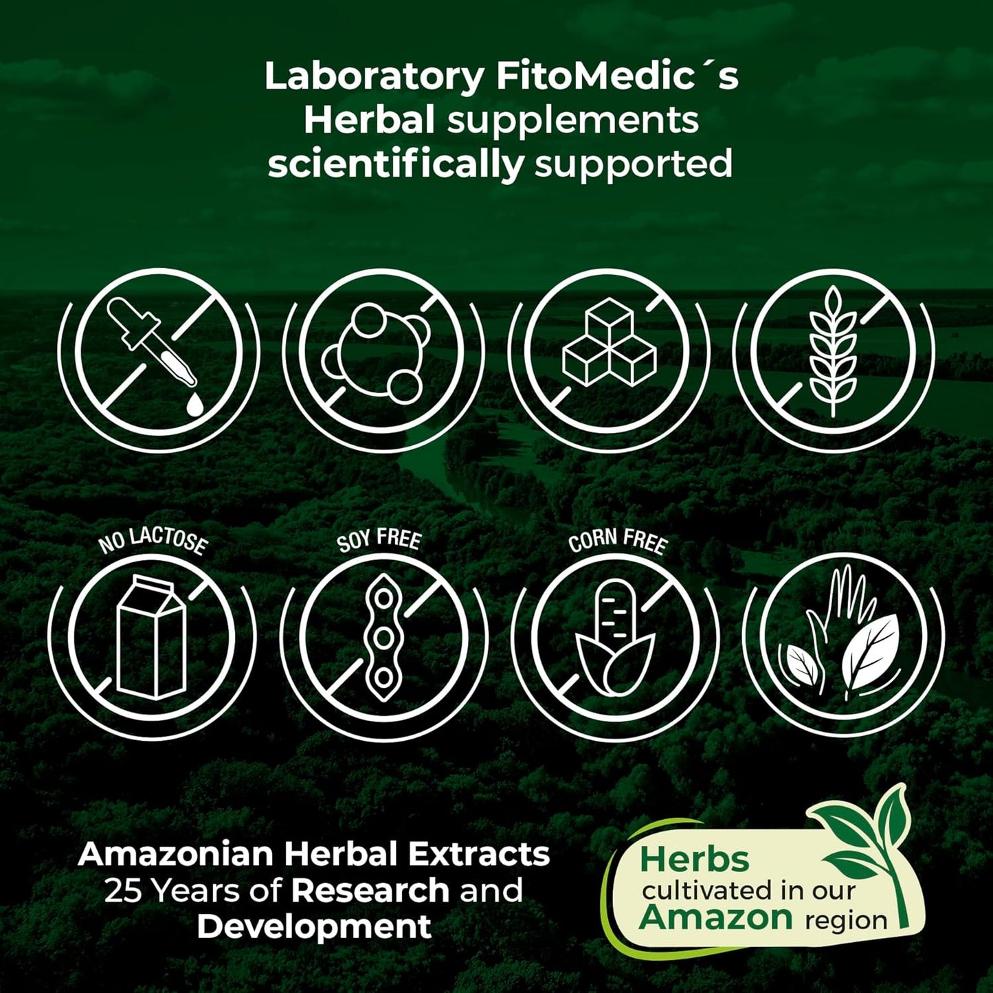 FITO MEDIC'S Lab Burdock Root Organic Capsules - 12000 mg - Ultra High Absorption - Natural Burdock Supplement