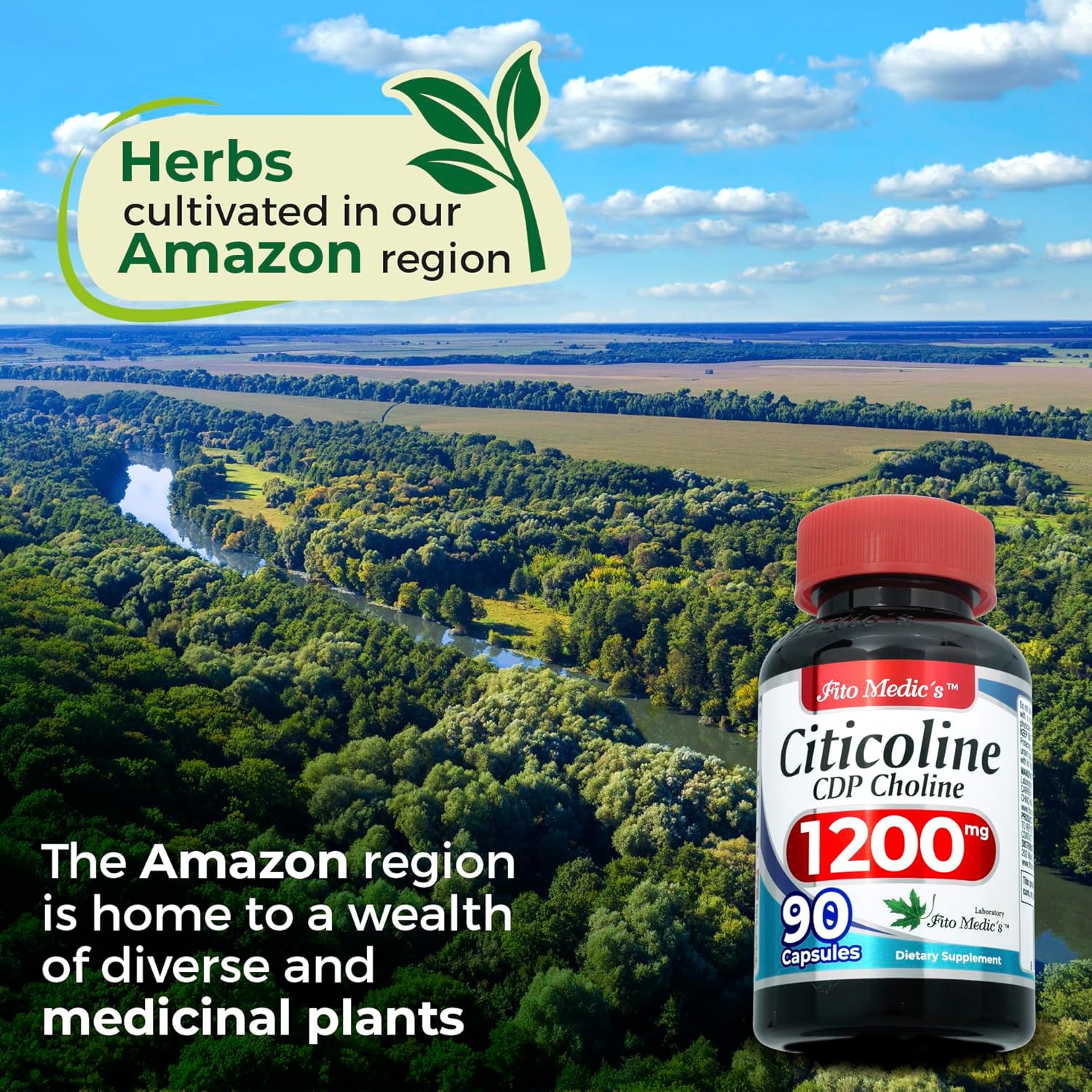 FITO MEDIC'S Lab Choline Supplements - 1200mg 90 Caps - Citicoline & CDP Choline for Ultra High Absorption