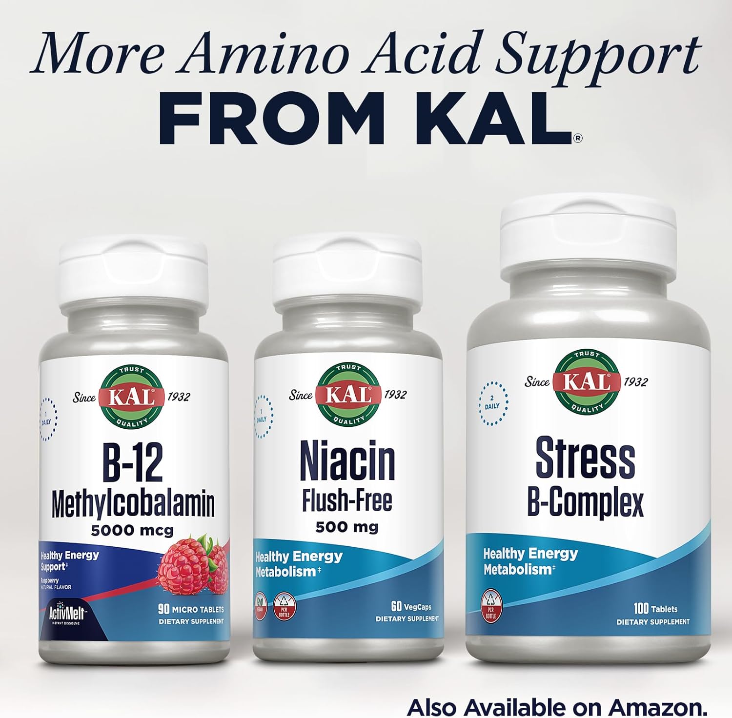 Flush-Free Niacin 500mg Vitamin B3 Supplement for Energy and Metabolism - Vegan Capsules for Skin, Nerve, Digestive Health - 60 Servings with 60-Day Guarantee