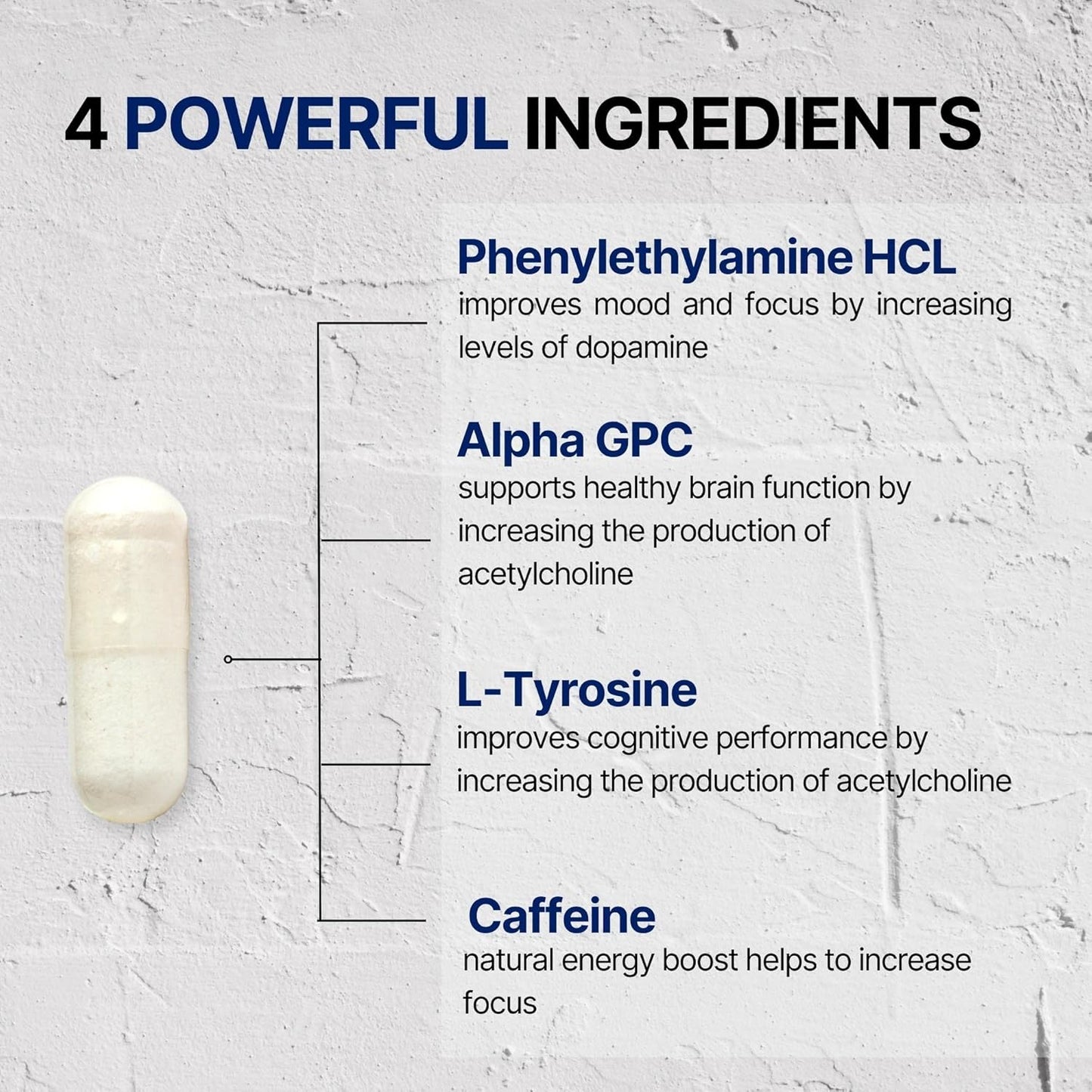 Focus & Clarity Brain Support Capsules for Cognitive Function & Memory Boost with Phenylethylamine HCL, Alpha GPC, L-Tyrosine