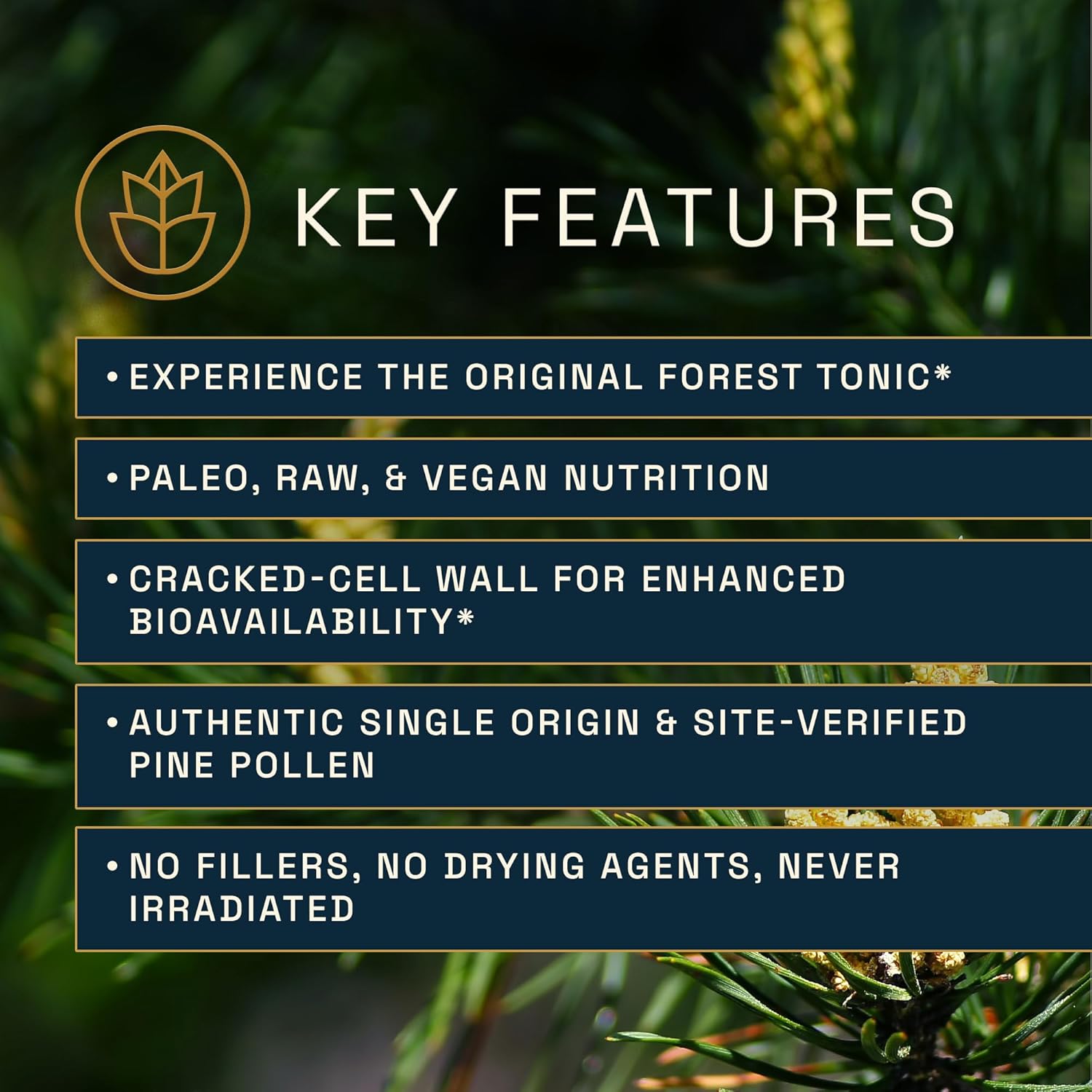 Forest Manna RAW Pine Pollen Capsules - Adaptogenic Functional Nutrition - Single Origin - 120 Capsules, Vegan & Non-GMO