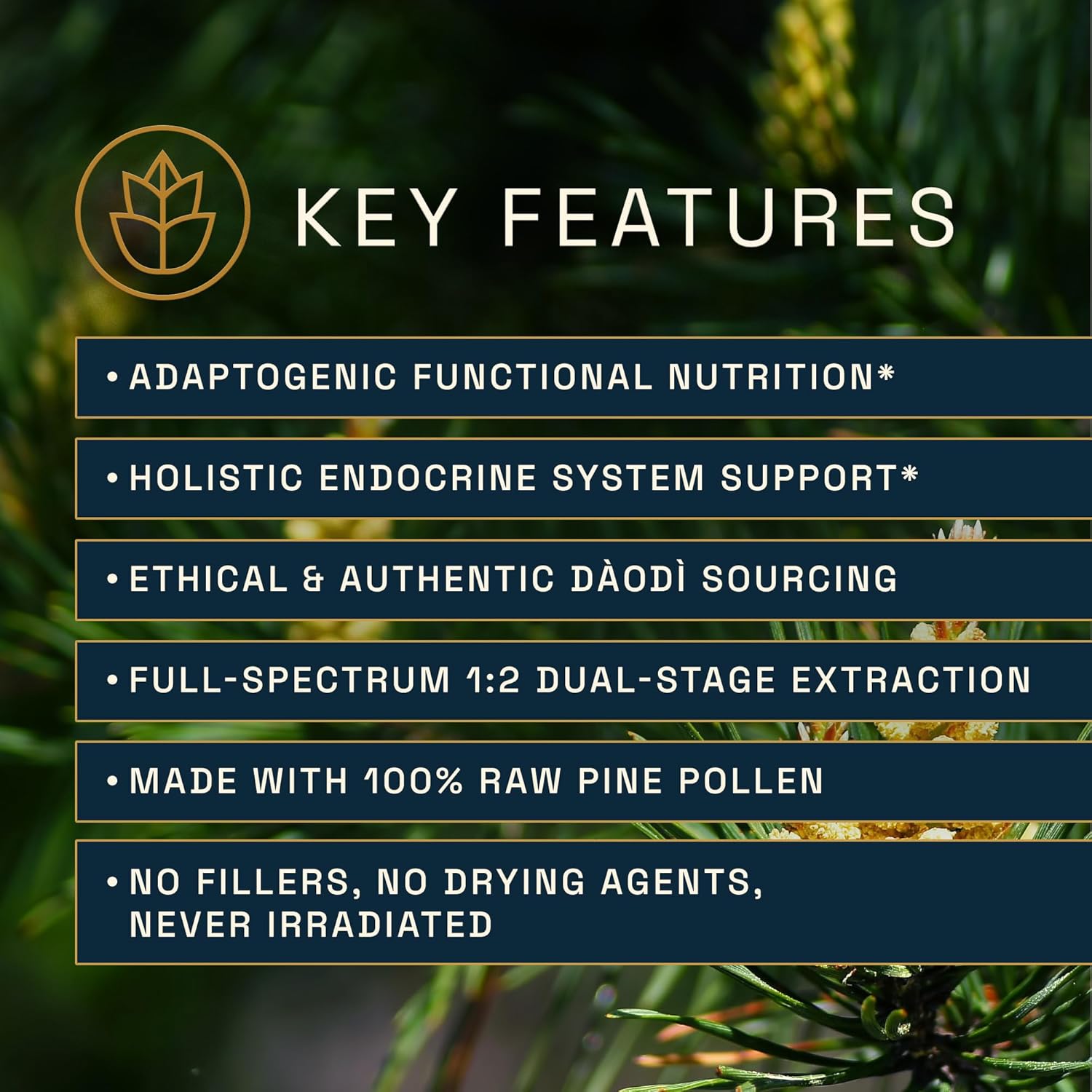 Forest Manna Royal Pine Pollen Tincture - Pure Dual-Stage Extract - 2 Fl Oz Bottle - Genuine Pine Pollen