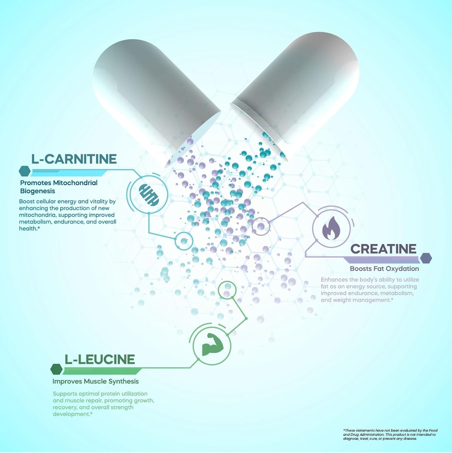 FORMA NUTRITION Advanced CN3RGY Supplement - Boost Energy with L-Leucine, L-Carnitine, and Creatine - 120 Capsules, 1000mg Leucine, 400mg Carnitine, 400mg Creatine HCl.