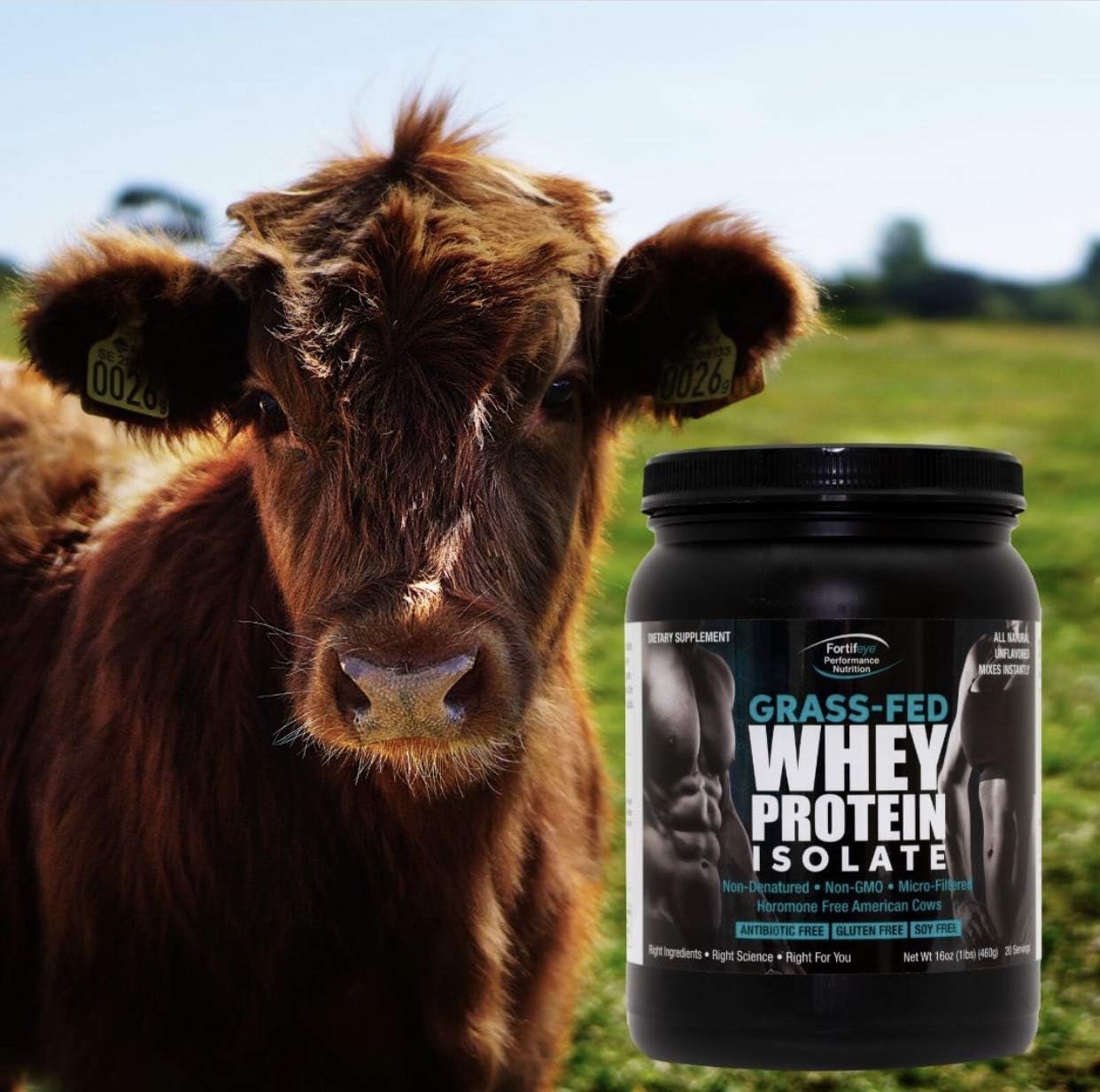 Fortifeye Super Protein: Non-Denatured Vanilla Whey Protein from New Zealand Grass-Fed Cows - 1 Pack