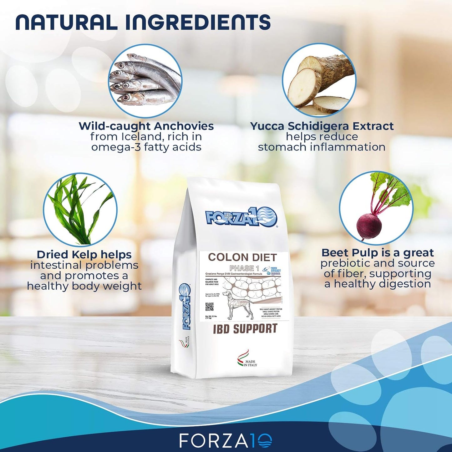 Forza10 Active Colon Support Diet Phase 1 Dry Dog Food, 22 lb - Helps with Diarrhea, Colitis & Constipation, Wild Caught Anchovy Flavor
