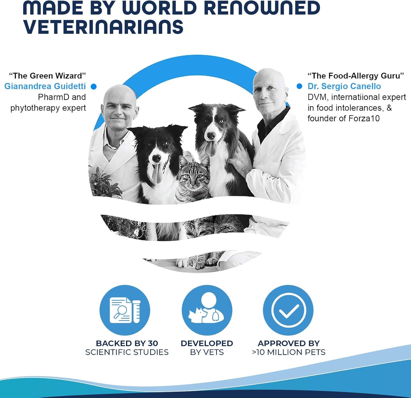 Forza10 Active Colon Support Diet Phase 1 Dry Dog Food, 22 lb - Helps with Diarrhea, Colitis & Constipation, Wild Caught Anchovy Flavor