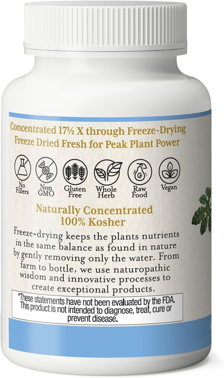 Freeze-Dried Non-GMO Bitter Melon Capsules - 90 Count by Eclectic Institute