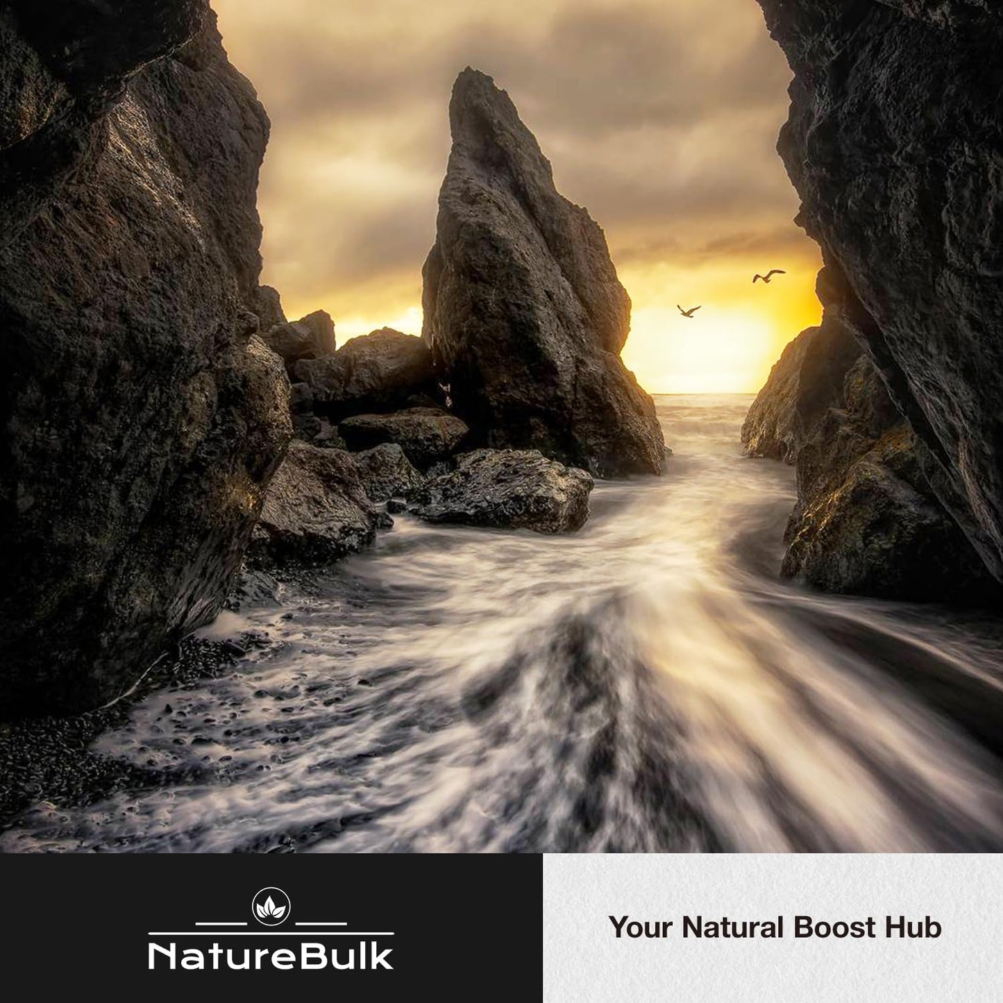 French Maritime Pine Bark Extract 400mg - 95% Proanthocyanidins, 30X Standardized Extract - 120 Vegan Capsules by NATUREBULK