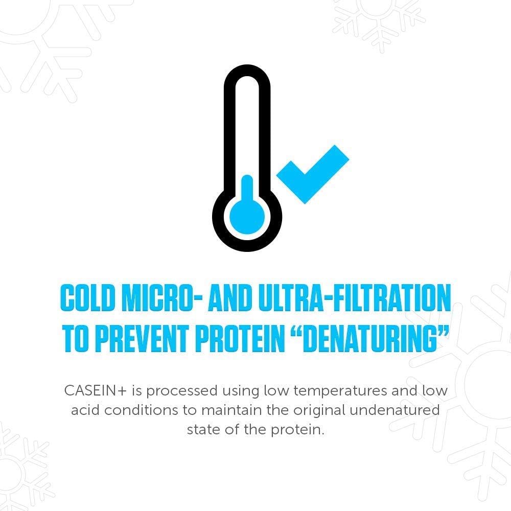 French Vanilla Casein Protein Powder - Slow-Release Micellar Casein from Grass-Fed Cows - Non-GMO & Gluten-Free (30 Servings)