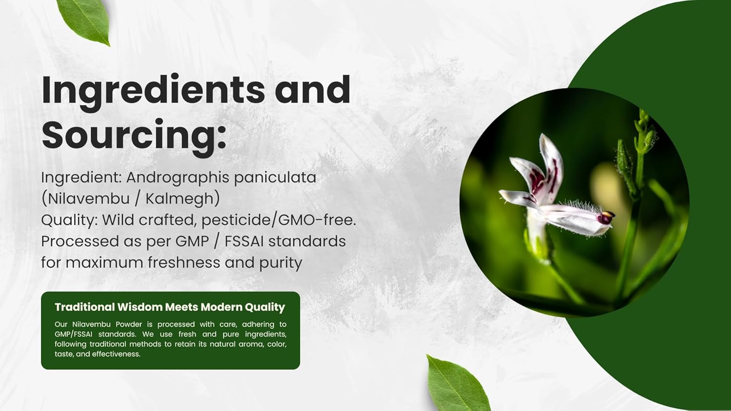 Fresh and Pure YOGIS HERBS Nilavembu Powder - 1lb Pack of 1 - Andrographis Paniculata - Dark Green Color