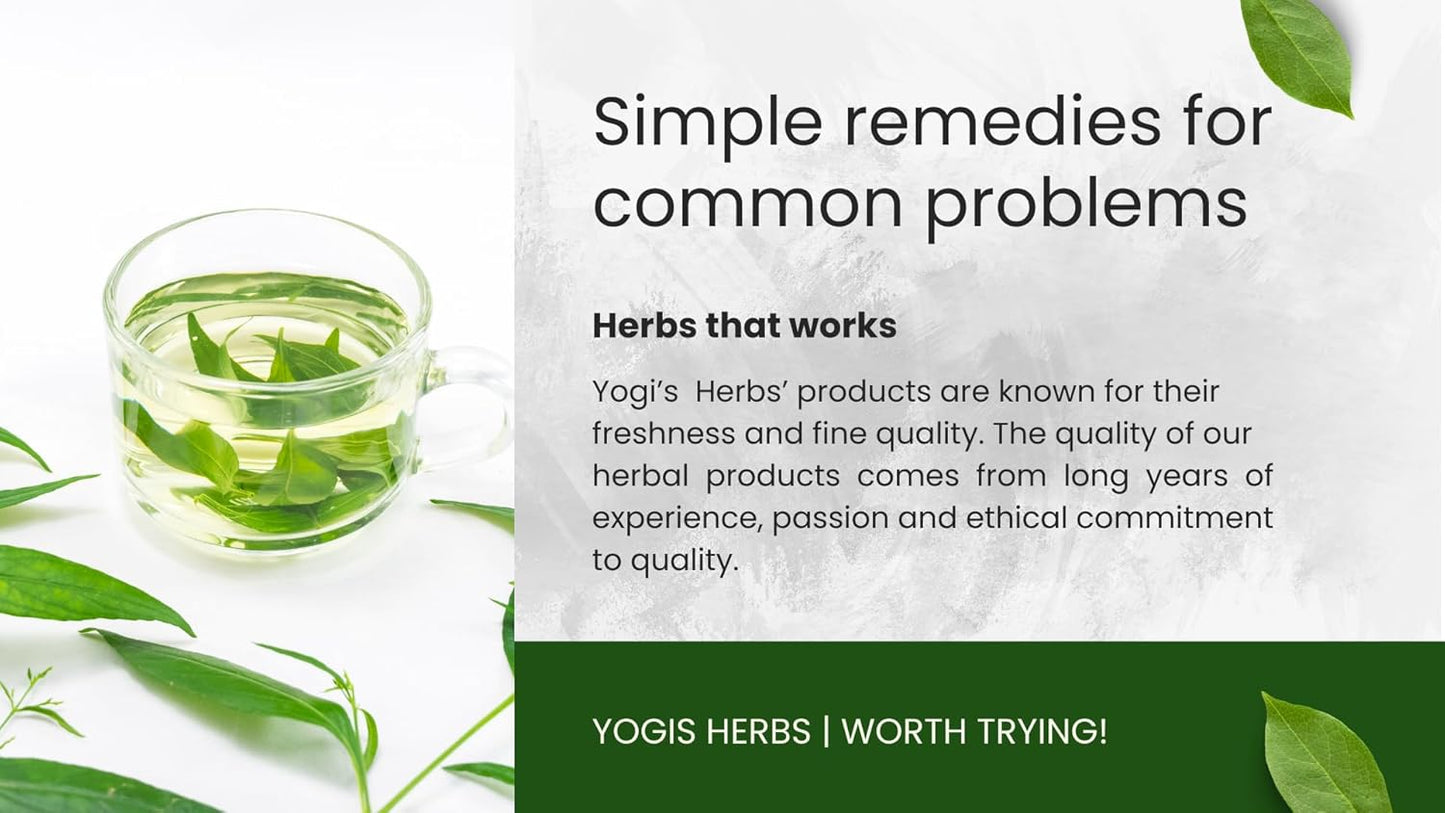 Fresh and Pure YOGIS HERBS Nilavembu Powder - 1lb Pack of 1 - Andrographis Paniculata - Dark Green Color