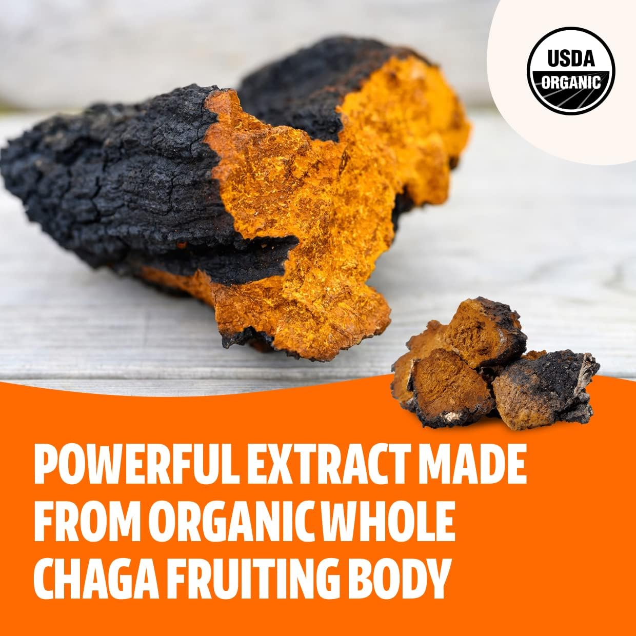 FreshCap Mushrooms Antioxidant Bundle: Chaga & Ultimate Mushroom Complex Powder