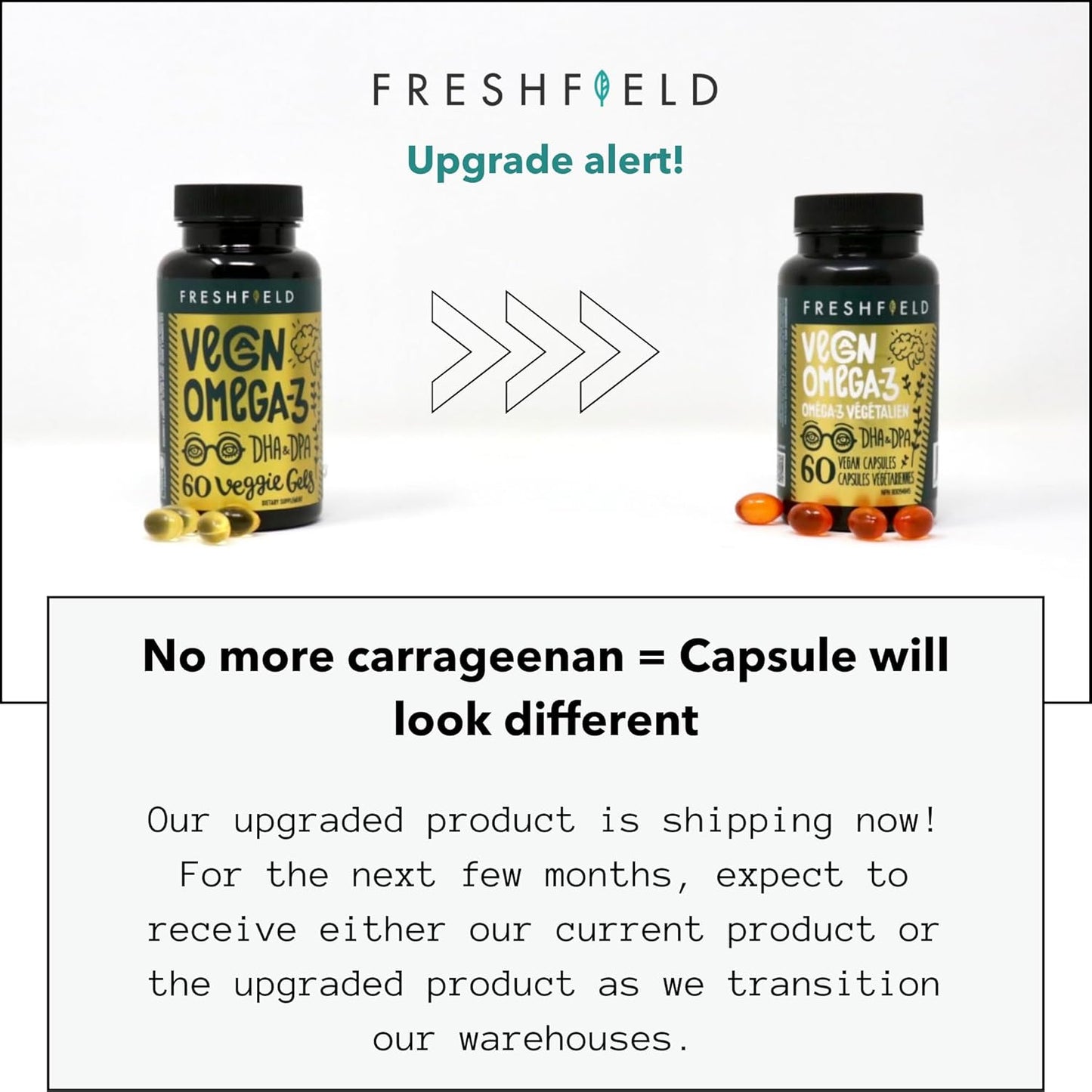 Freshfield Naturals Vegan Omega 3 DHA: Sustainable, Carrageenan Free, Third Party Tested, Compostable Bottle, Carbon Neutral - Supports Heart, Brain, Joint Health with DPA