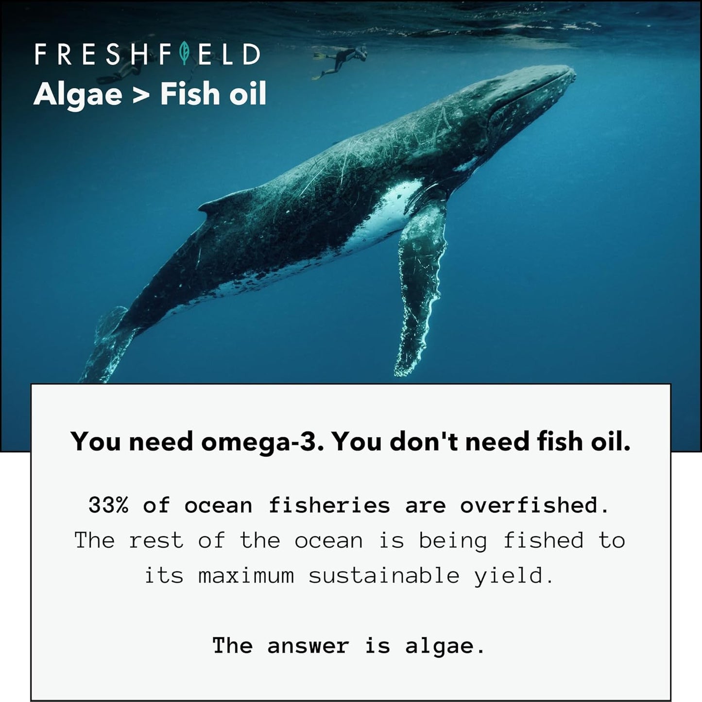 Freshfield Naturals Vegan Omega 3 DHA: Sustainable, Carrageenan Free, Third Party Tested, Compostable Bottle, Carbon Neutral - Supports Heart, Brain, Joint Health with DPA