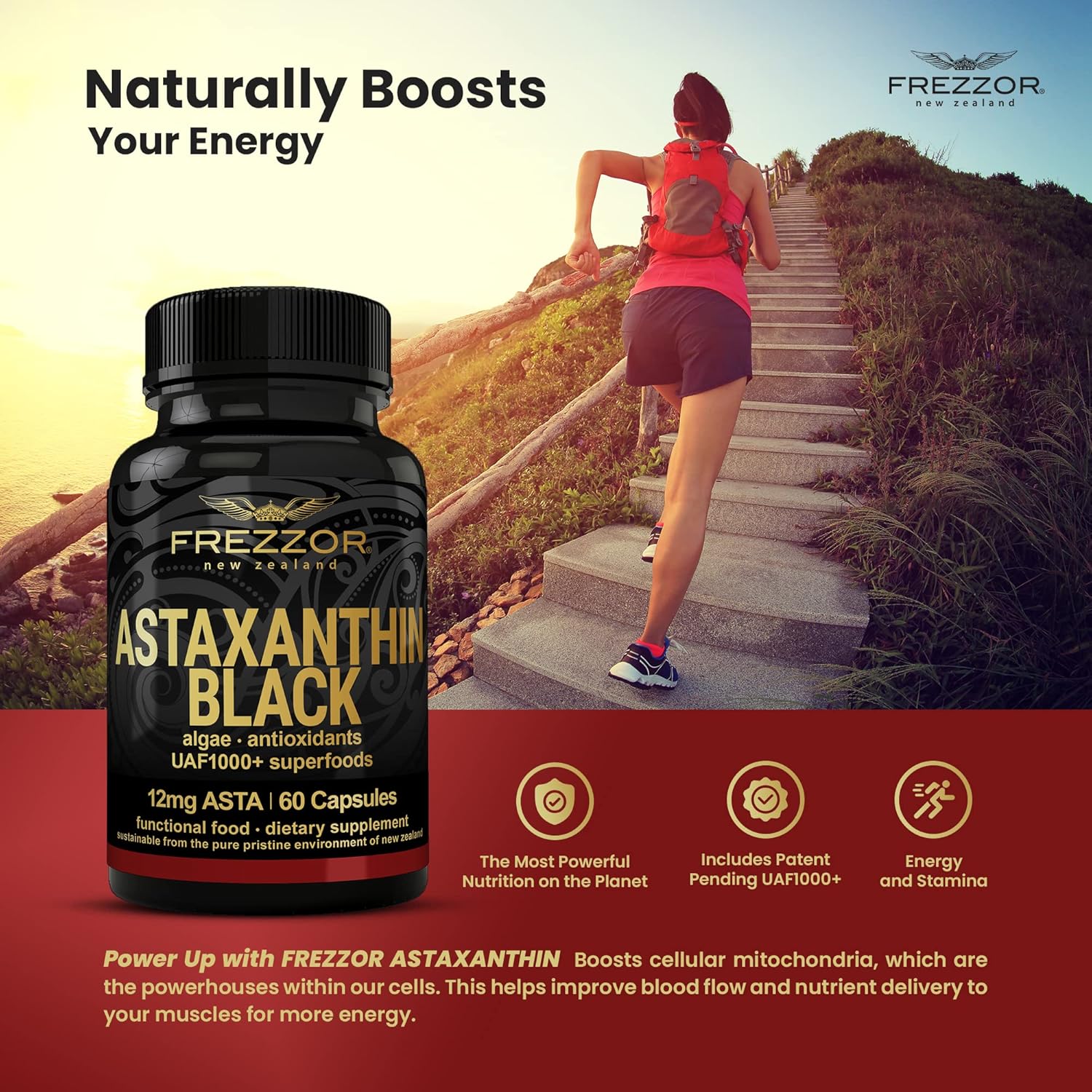 FREZZOR Astaxanthin Black: Super Antioxidant for Heart, Eye & Brain Health, 180 Softgels, 3 Month Supply
