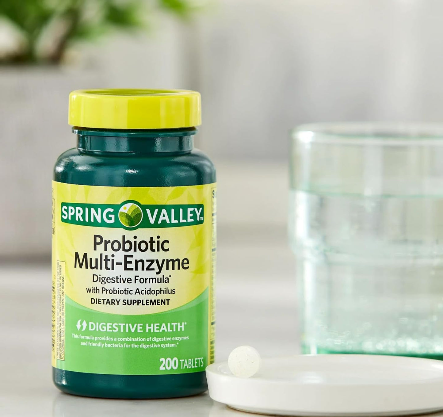 Gabrenz Spring Valley Probiotic Enzyme Digestive Tablets, 200 ct - Probiotics & Enzymes for Digestive Health, Pack of 1 with Gbz Ref Magnet