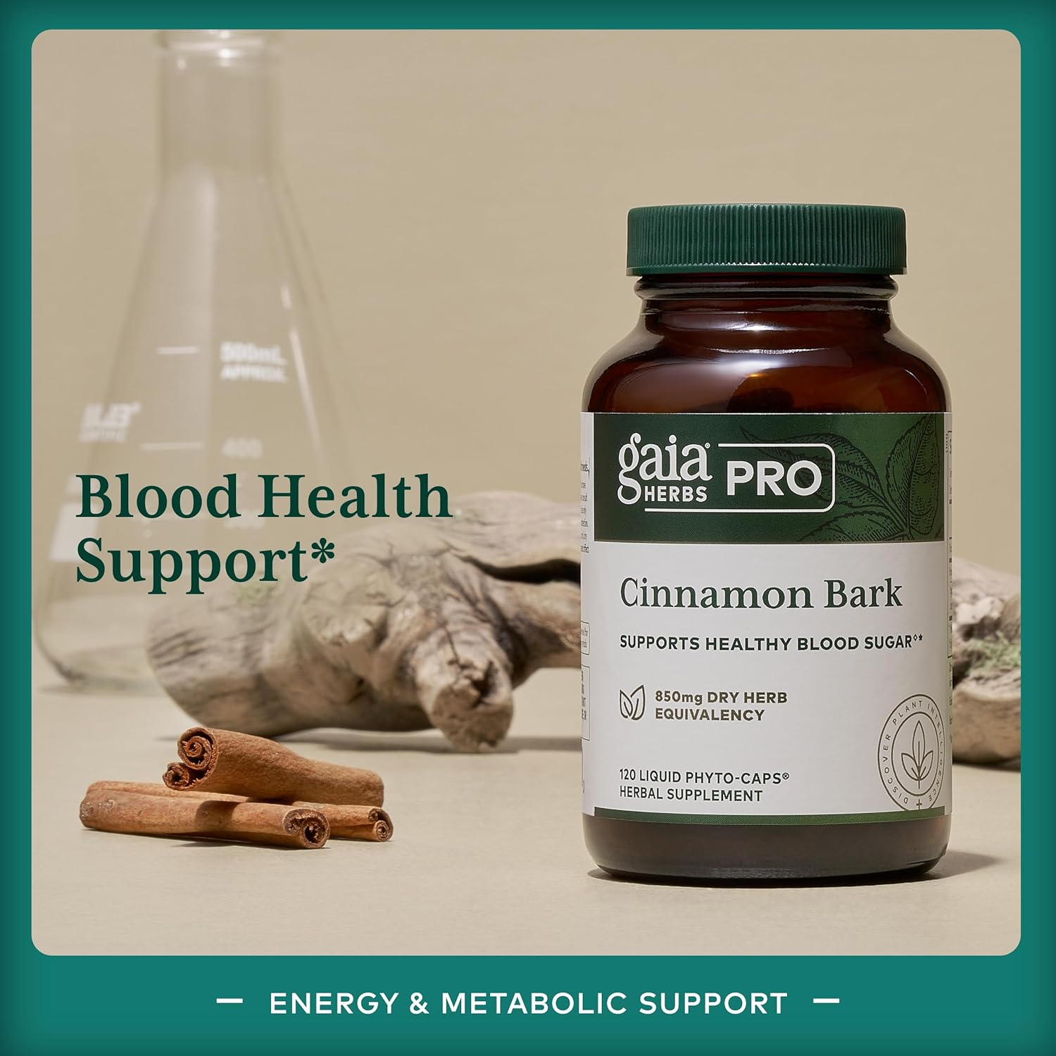 Gaia Herbs Cinnamon Bark Supplement - Gaia PRO Formula for Digestive Health and Immune Support