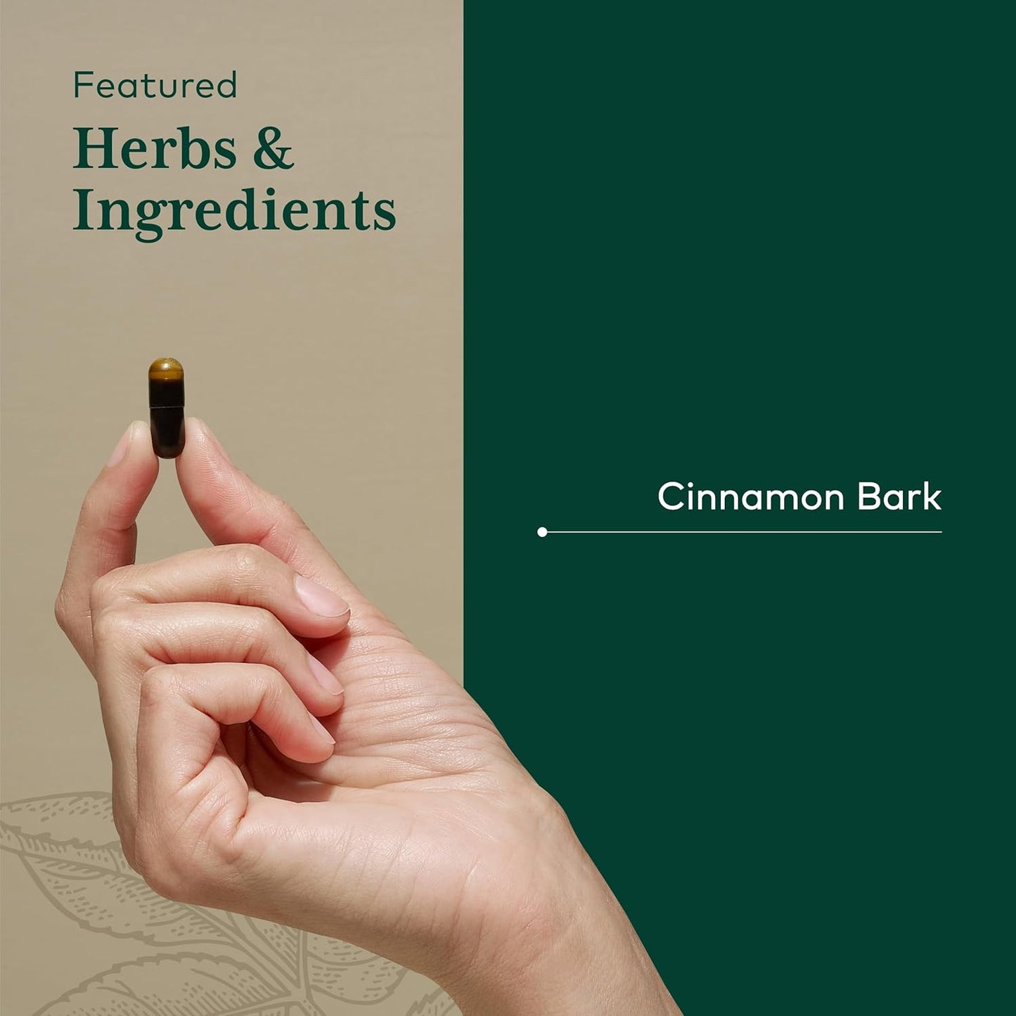 Gaia Herbs Cinnamon Bark Supplement - Gaia PRO Formula for Digestive Health and Immune Support