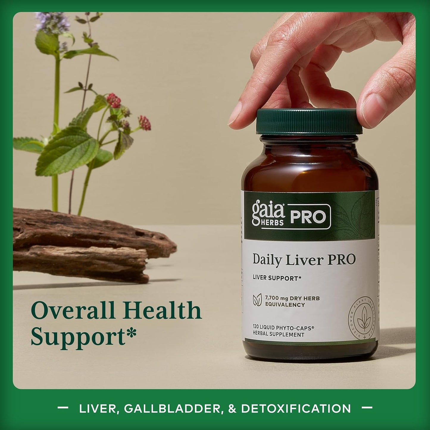 Gaia Herbs Daily Liver Support Supplement for Optimal Liver Health