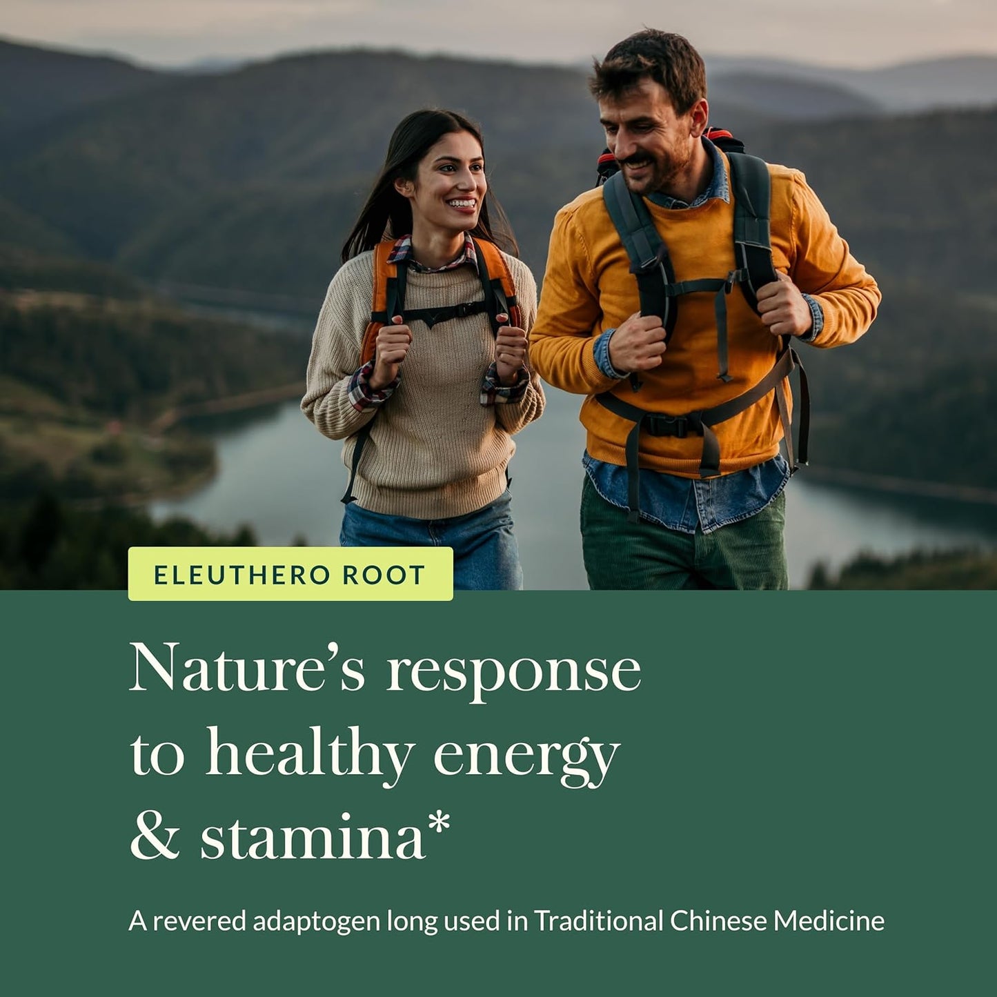 Gaia Herbs Eleuthero Root Capsules - Natural Energy & Stamina Support - Vegan Adaptogen Supplement for Mental Endurance - 60 Liquid Phyto-Caps