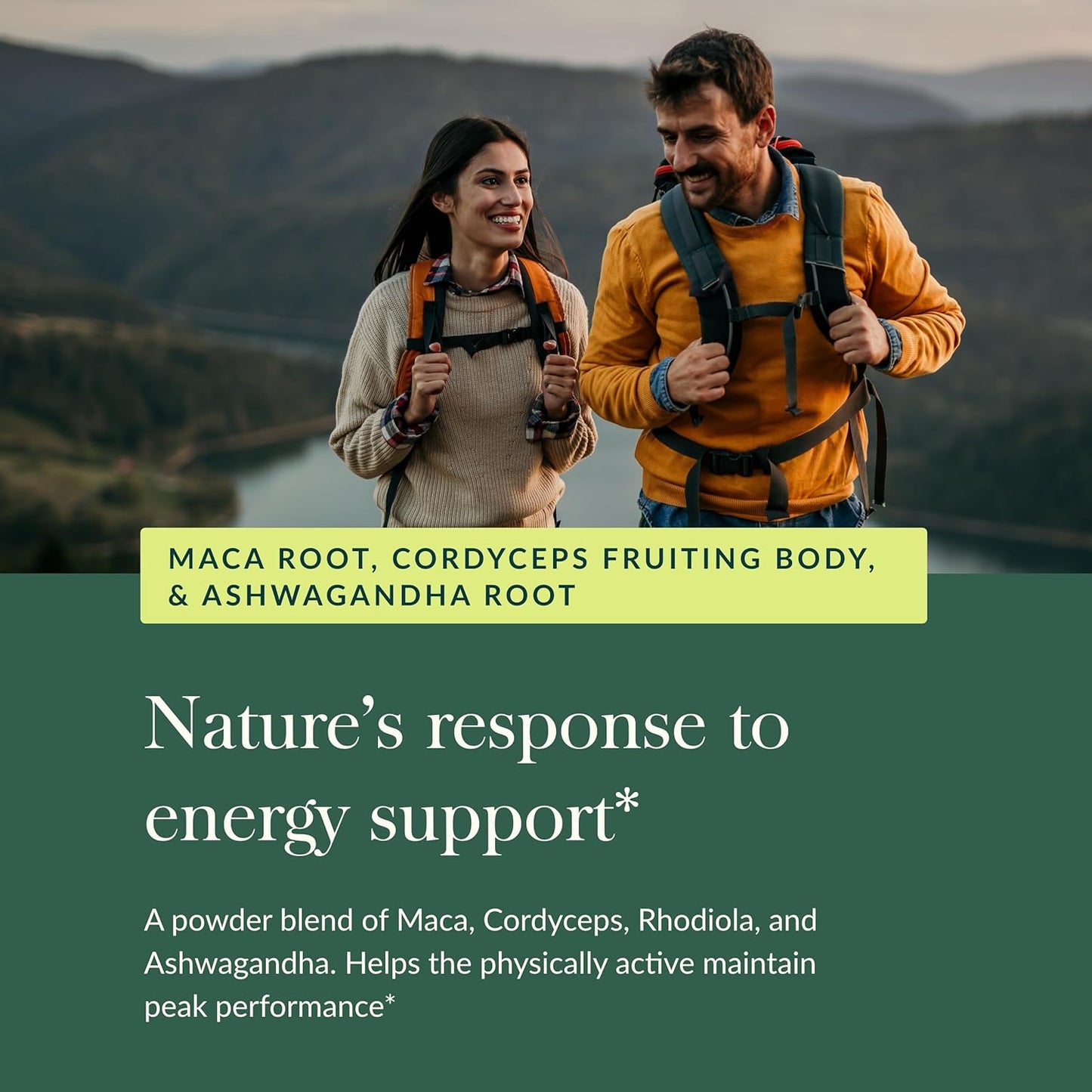 Gaia Herbs Everyday Adaptogen Powder with Maca Root, Cordyceps, & Ashwagandha - Supports Energy & Stress Levels - 3.5 Oz (38-Day Supply)