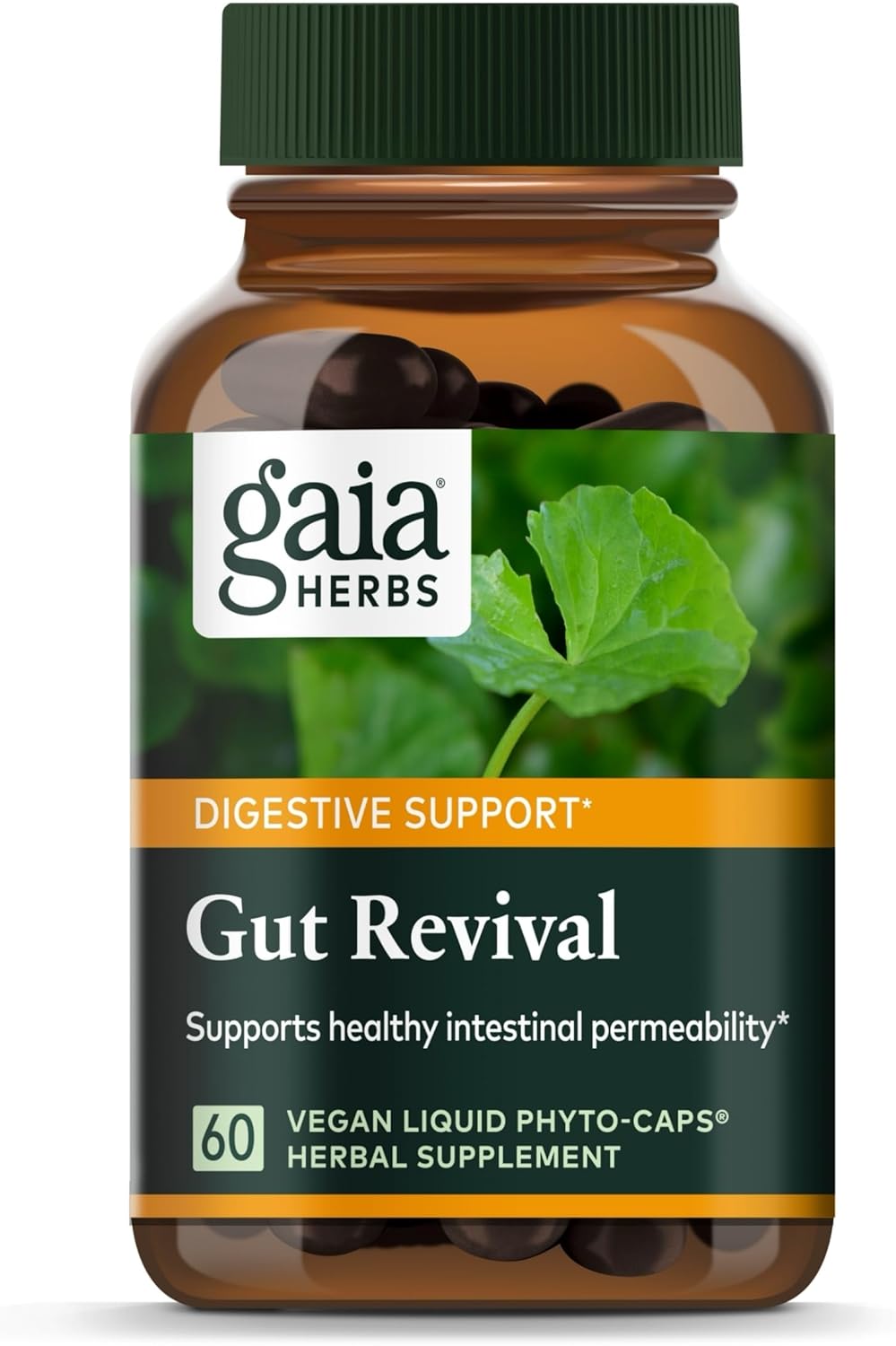 Gaia Herbs Gut Revival: Herbal Digestive Supplement for Gut Health - Astragalus, Gotu Kola, Jujube - Dairy, Soy, Gluten-Free - 60 Vegan Capsules