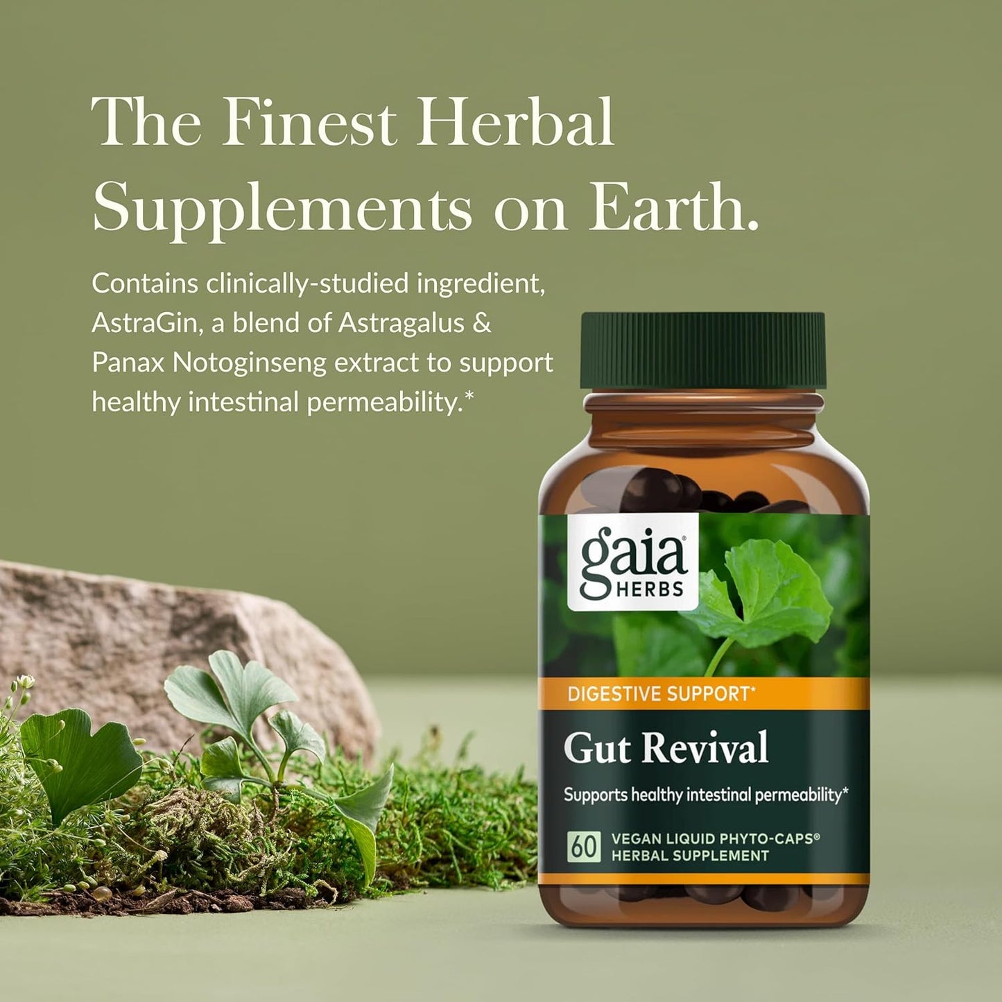 Gaia Herbs Gut Revival: Herbal Digestive Supplement for Gut Health - Astragalus, Gotu Kola, Jujube - Dairy, Soy, Gluten-Free - 60 Vegan Capsules