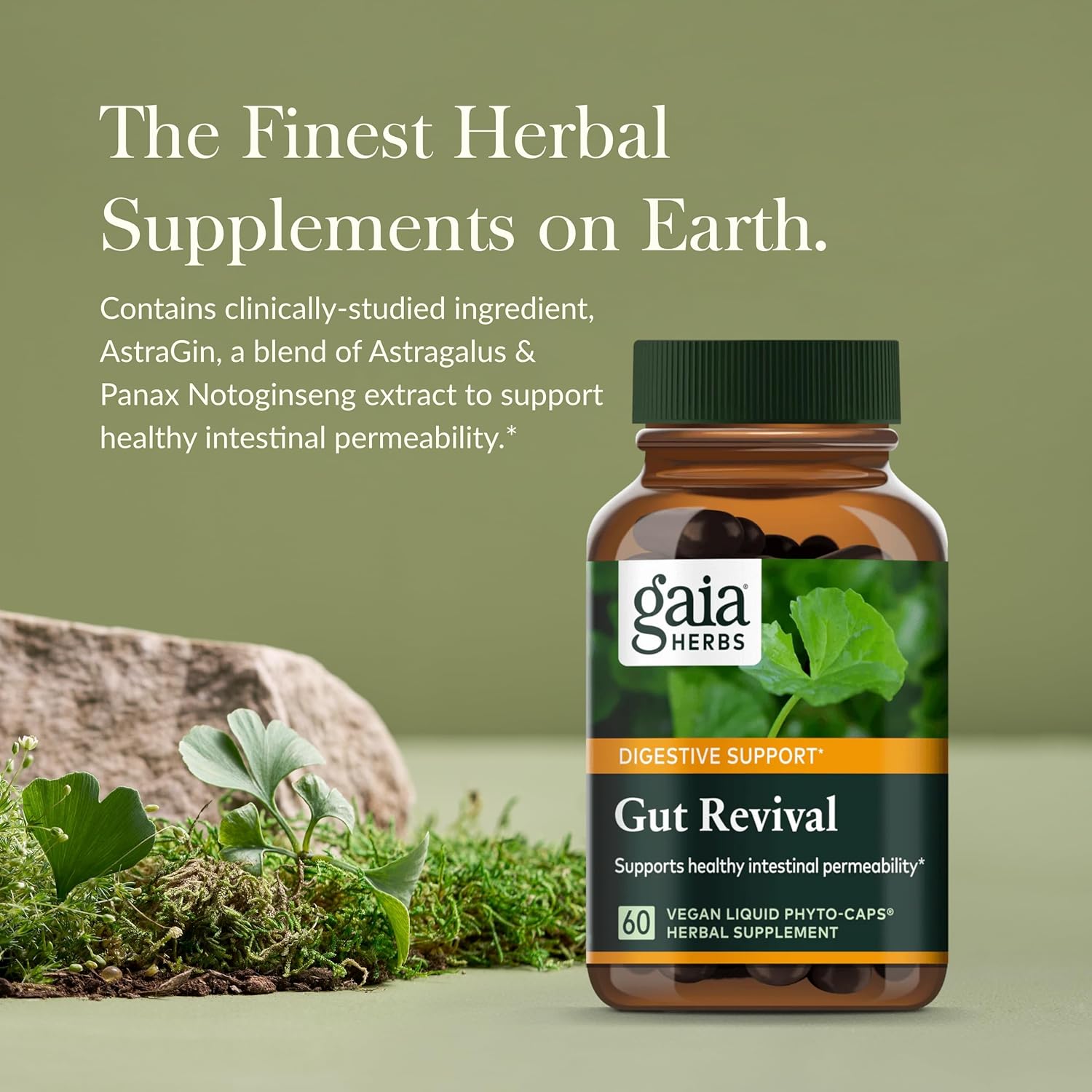 Gaia Herbs Gut Revival: Herbal Digestive Supplement for Gut Health - Astragalus, Gotu Kola, Jujube - Dairy, Soy, Gluten-Free - 60 Vegan Capsules