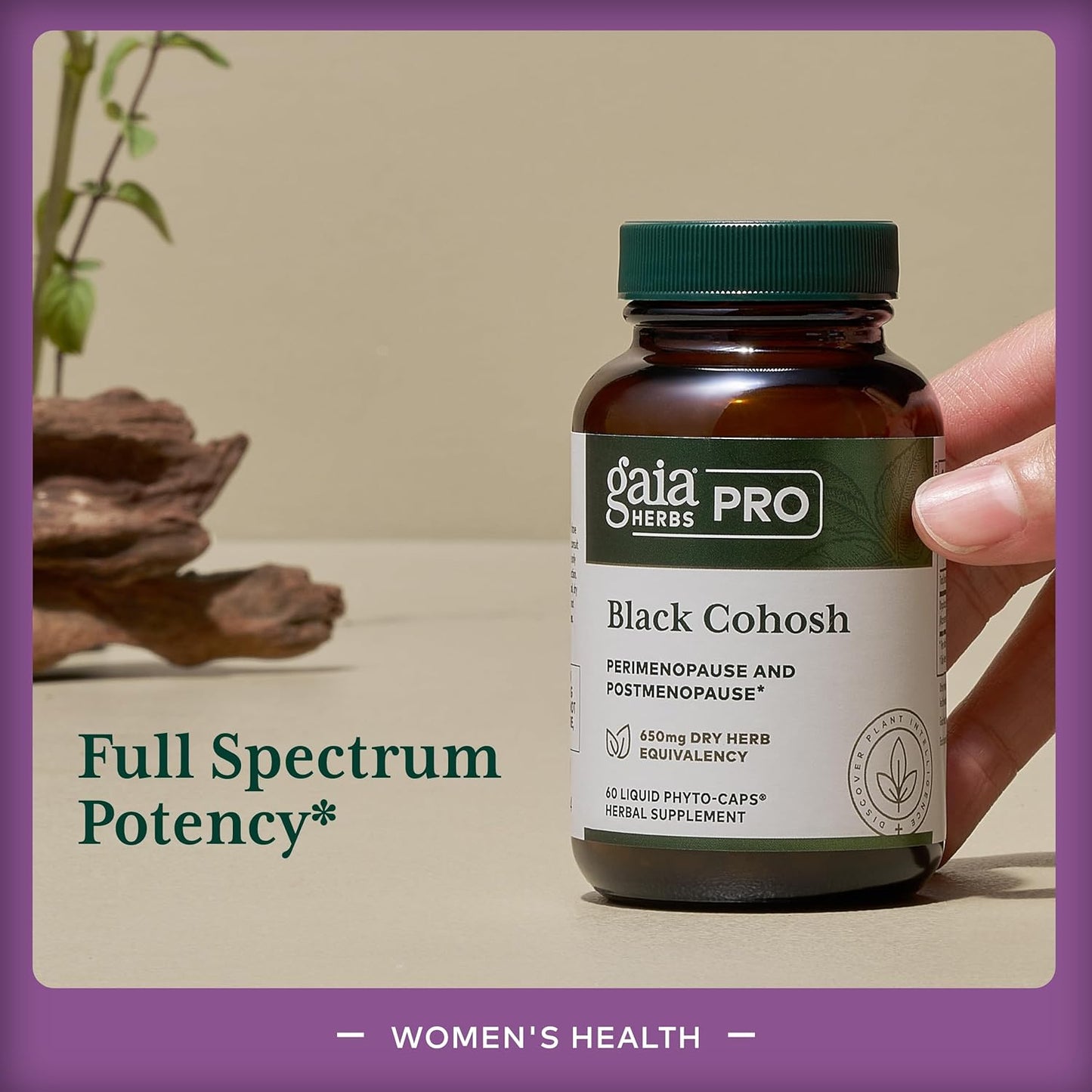 Gaia Herbs Pro Black Cohosh Liquid Capsules - Menopause Support Supplement - Hormone Balance for Women - 60 Vegan Capsules