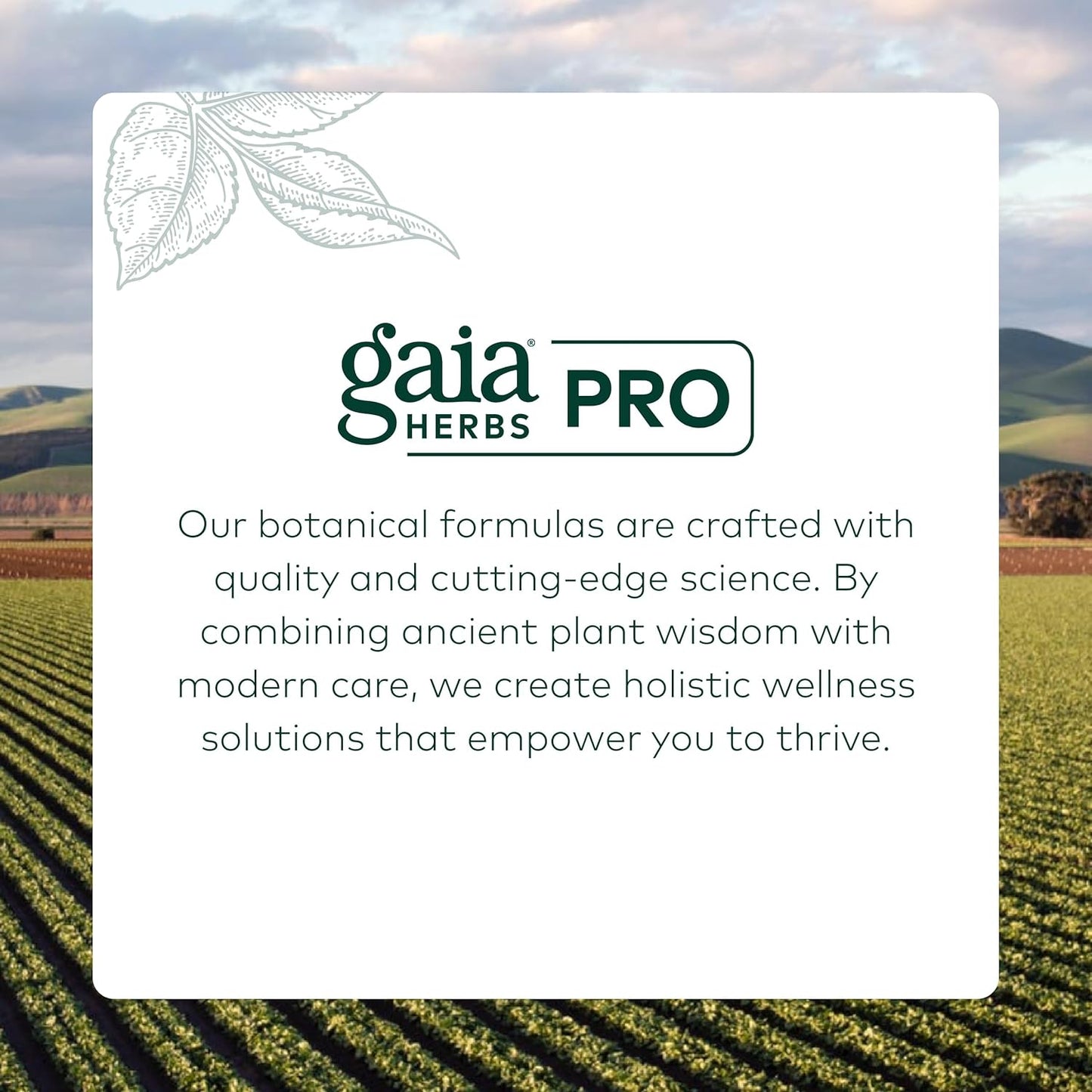 Gaia Herbs Pro Daytime HPA Supplement - Adaptogen & Nervine for Stress Support - Ashwagandha, Holy Basil, Oats, Rhodiola & Schisandra - 120 Vegan Caps